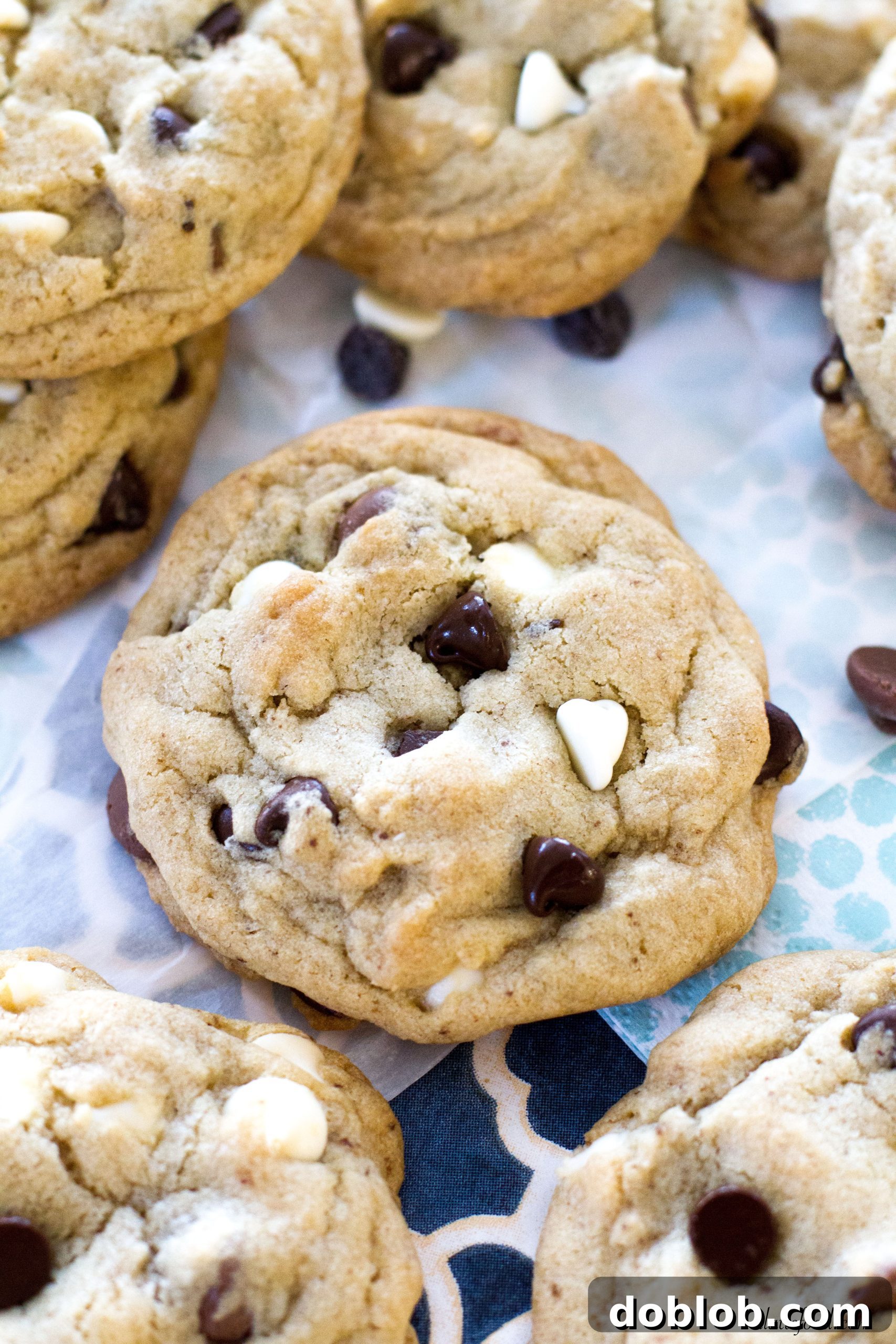 featured 2418 scaled