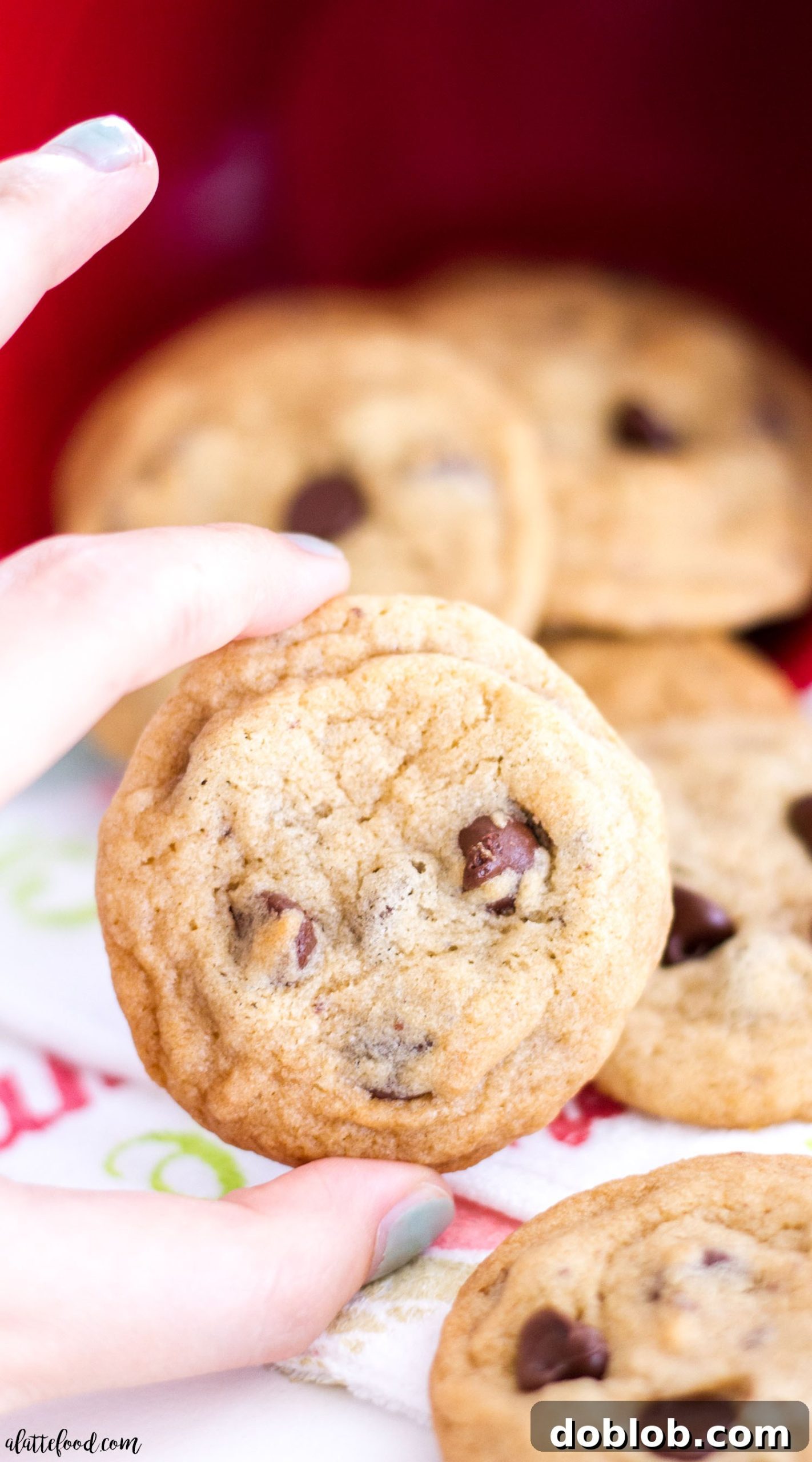 A delightful close-up of a plate brimming with freshly baked mini chocolate chip cookies, ready for a taste.