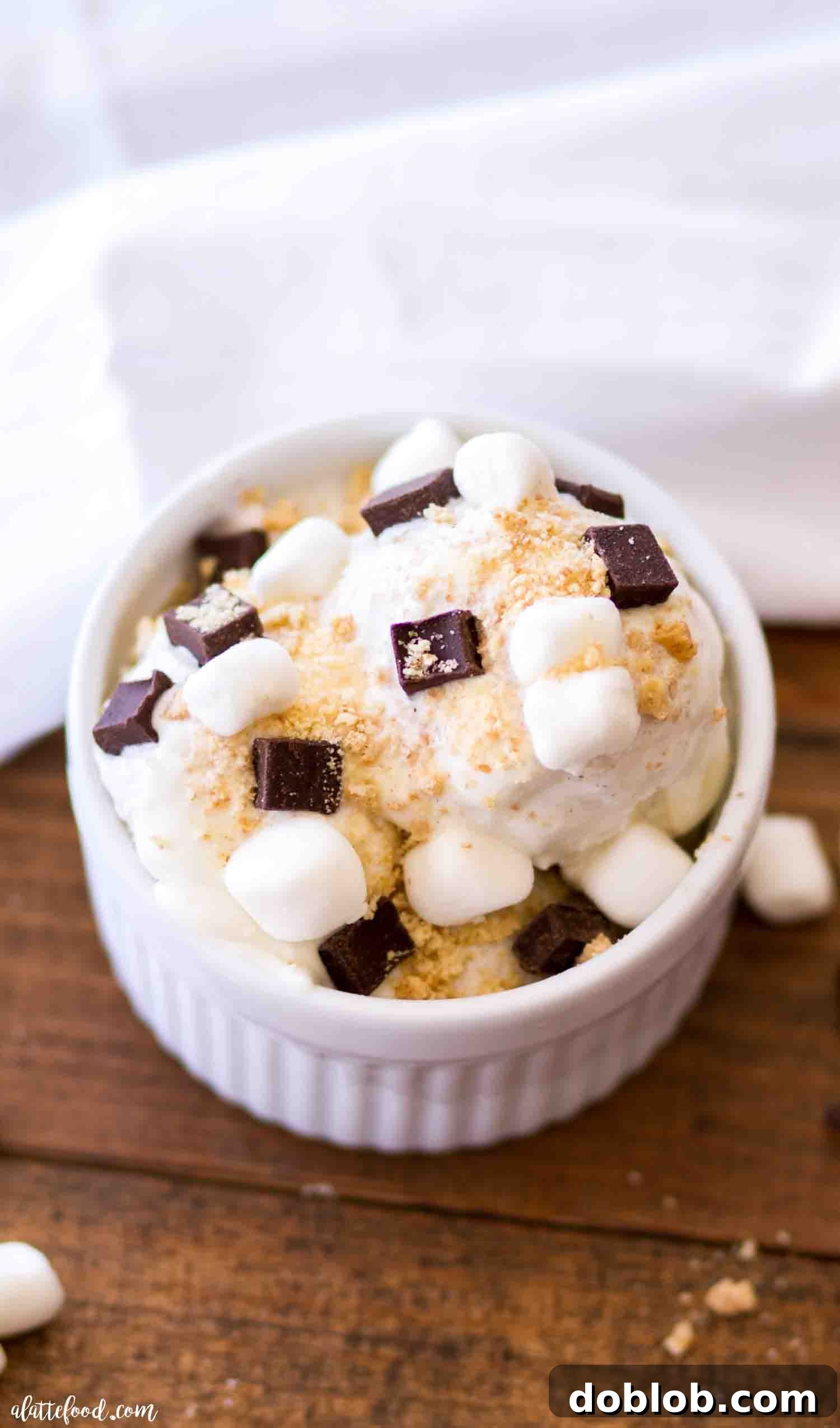 Four Deliciously Easy Ice Cream Sundae Recipes 6 A delectable S'mores Ice Cream Sundae served in a clean white bowl, generously topped with lightly toasted mini marshmallows, rich chocolate chunks, and crunchy graham cracker crumbs