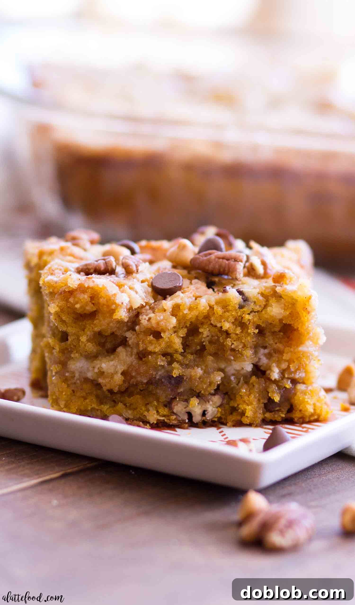A slice of Pumpkin Earthquake Cake with a swirl of pumpkin and chocolate, topped with whipped cream.