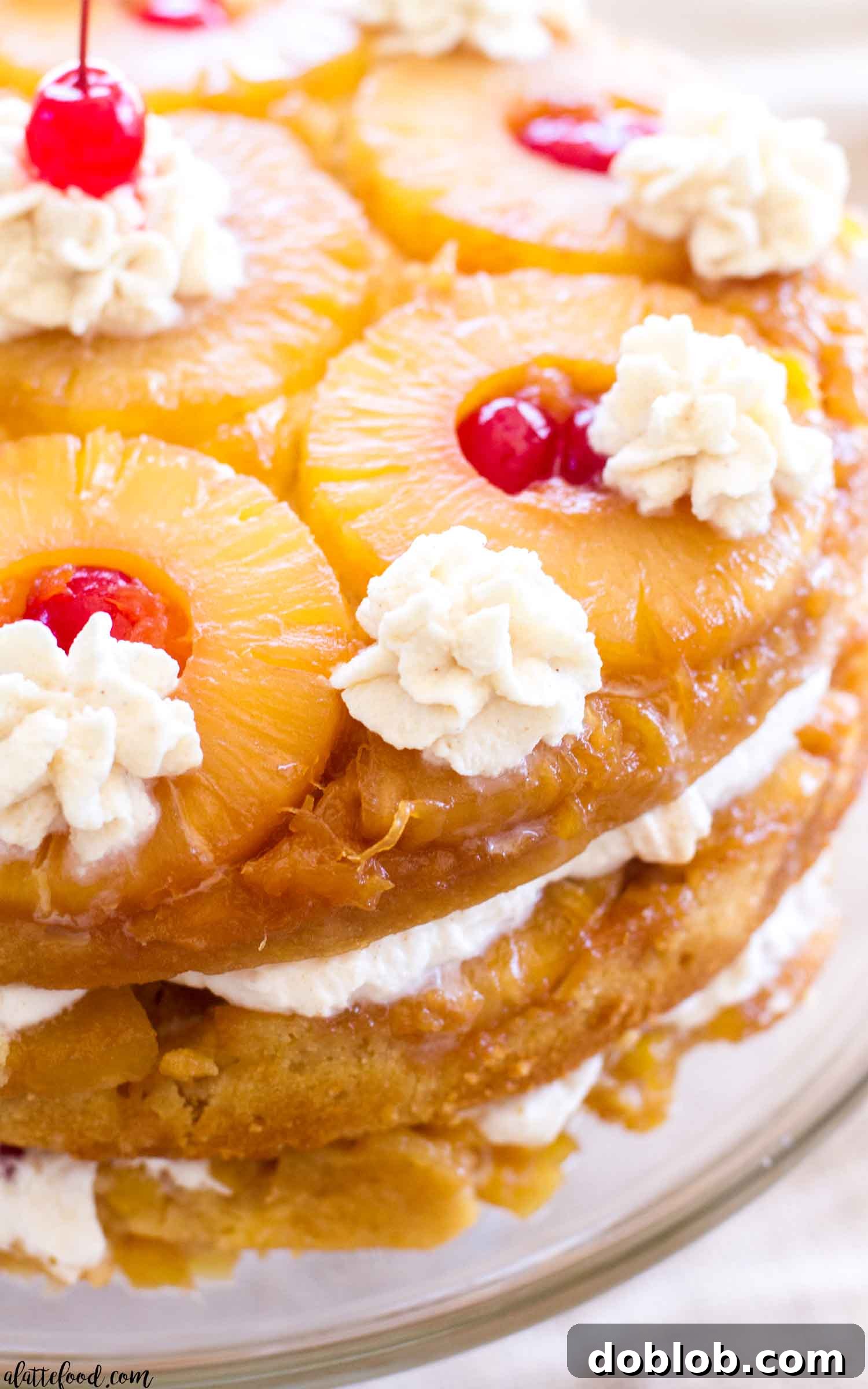 This pineapple upside down cake is three layers of caramelized pineapples, maraschino cherries, and homemade cinnamon whipped cream! This layered twist on the classic pineapple upside-down cake recipe is sure to be a family favorite!