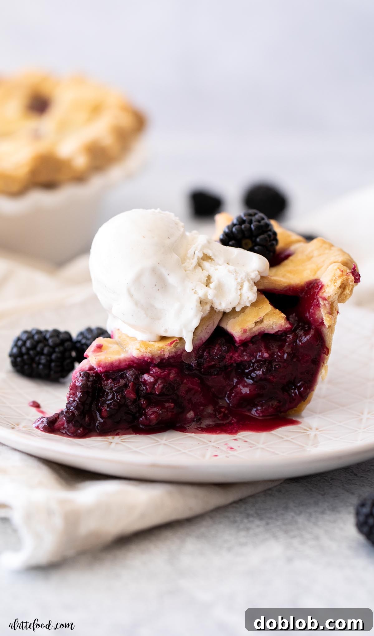 A slice of homemade blackberry pie with vanilla ice cream on a white plate, showcasing the rich, dark berry filling and flaky crust.