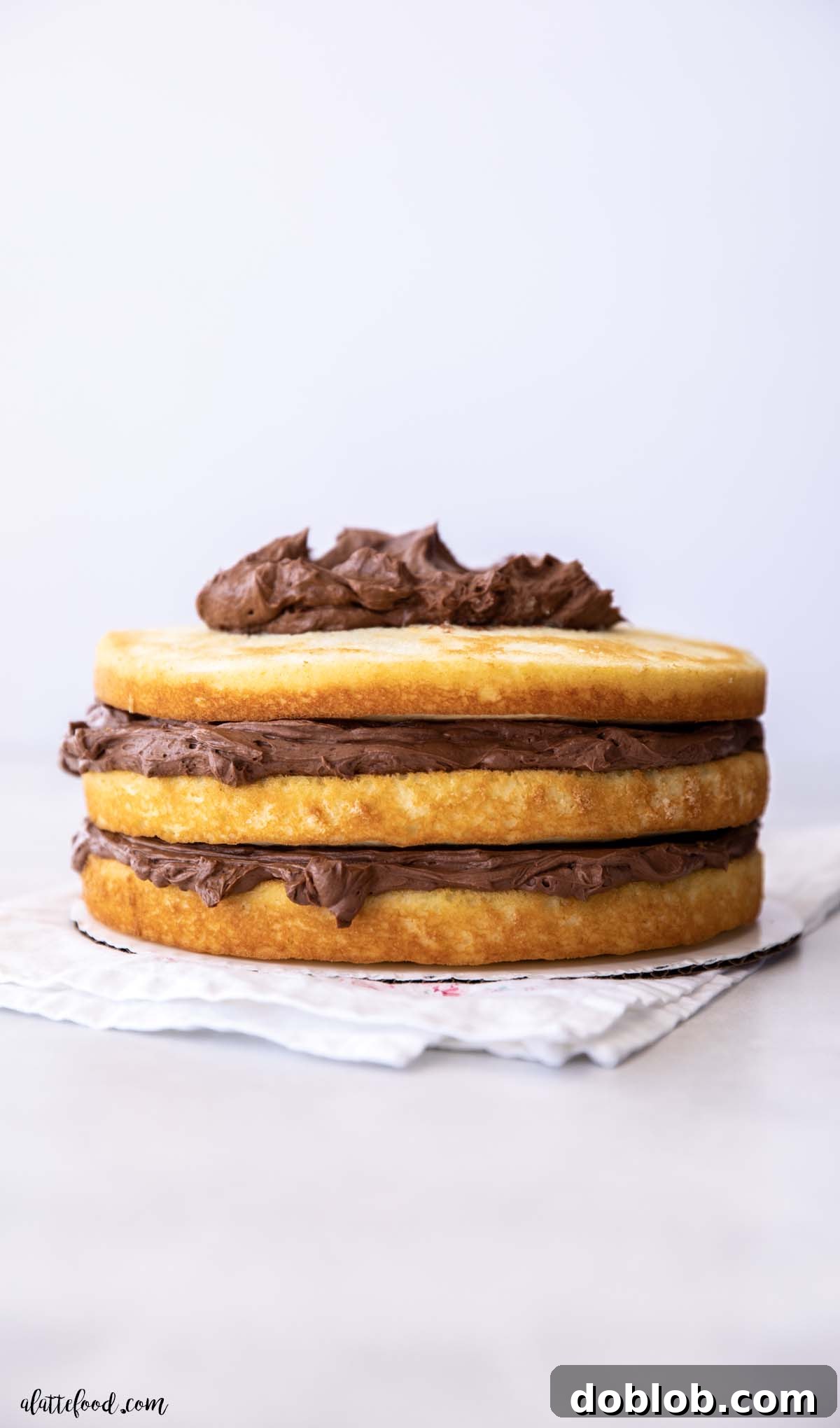 A glimpse of a fluffy yellow naked cake, revealing its tender layers beautifully separated by generous swirls of chocolate frosting, creating an inviting visual.