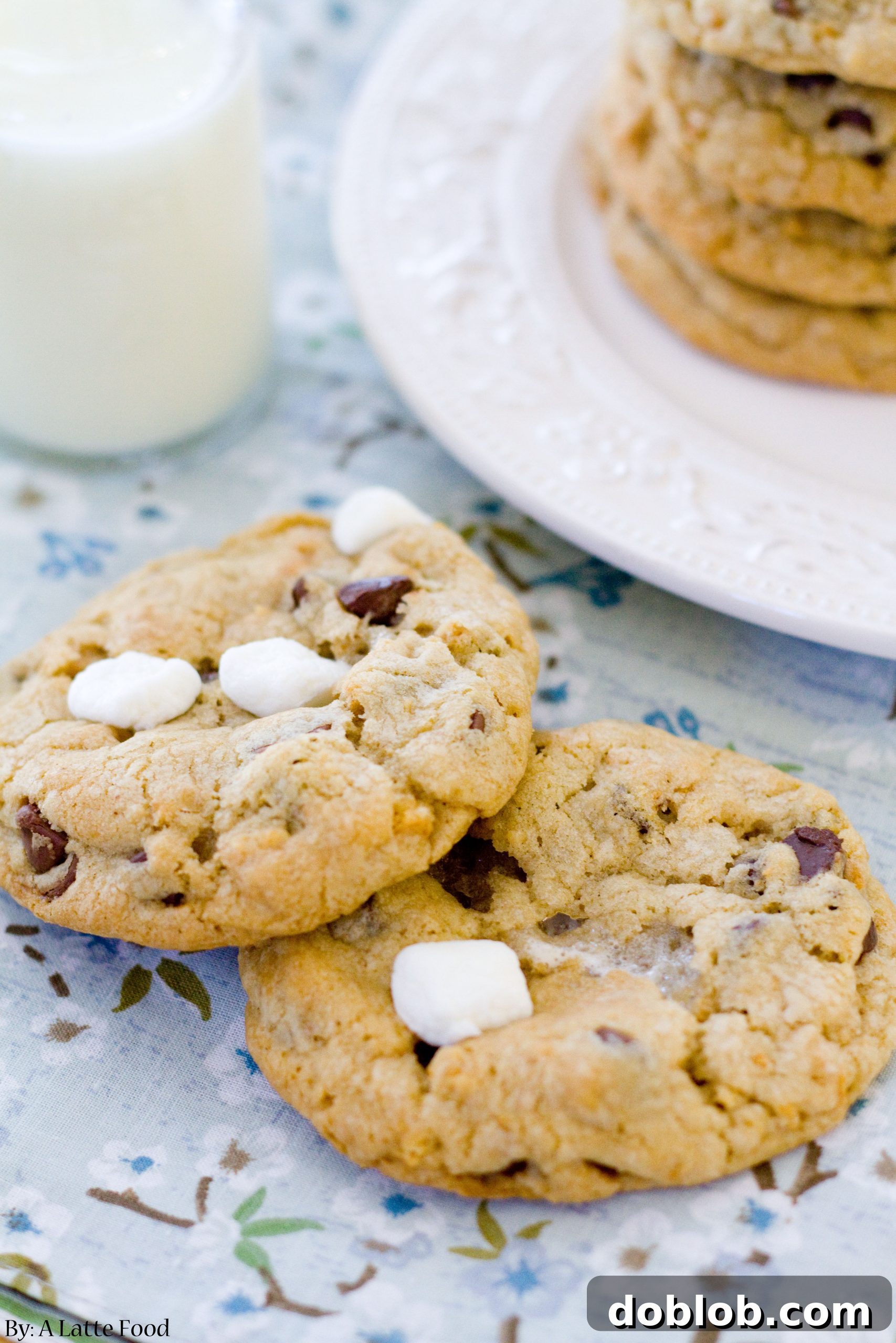 Gooey s'mores chocolate chip cookies with melted marshmallow and chocolate