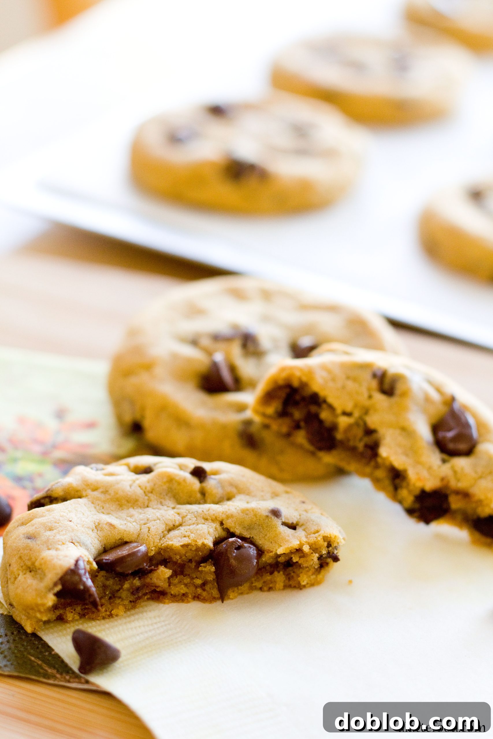 Hearty thick and chewy pumpkin chocolate chip cookies, perfect for fall