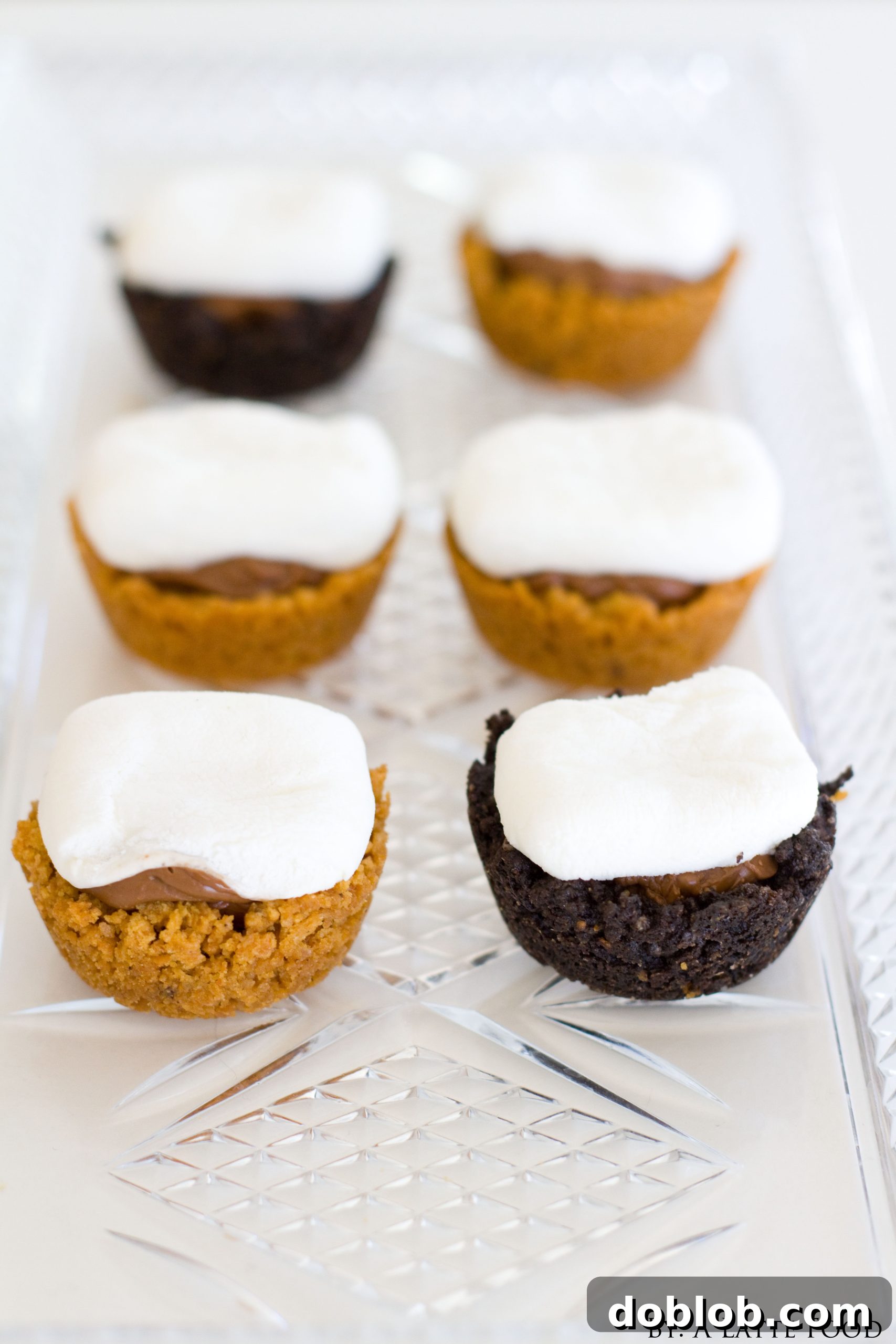 Adorable Mini S'mores Bites, a bite-sized dessert