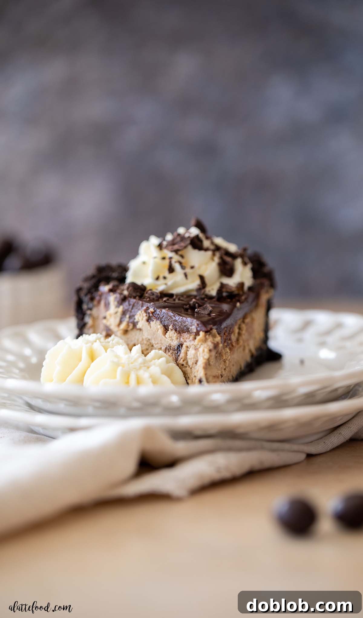 chocolate espresso cheesecake slice with whipped cream and chocolate ganache on a white plate.