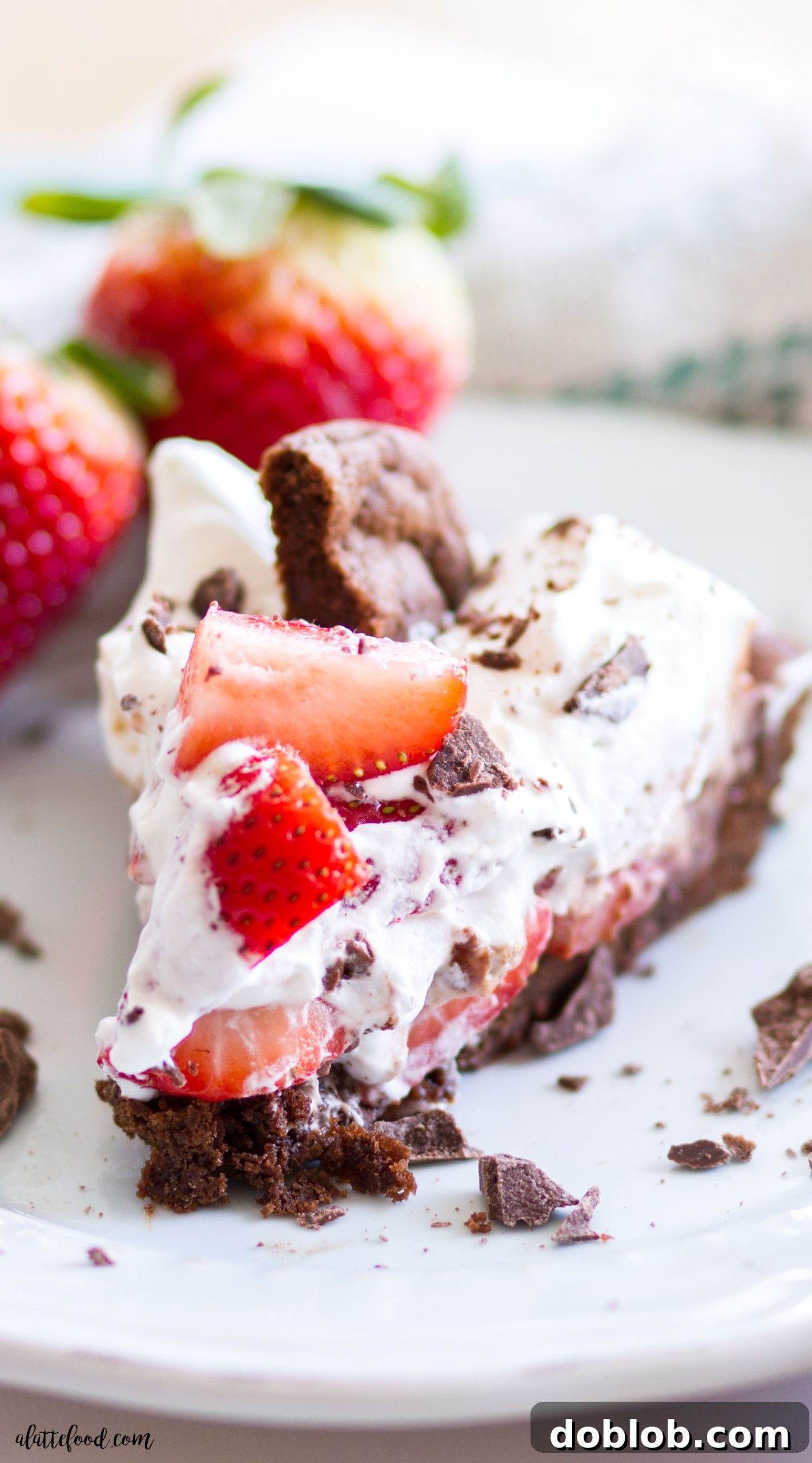 This Double Chocolate Chip Cookie Strawberry Nutella Cream Pie is a chocolate lovers dream! This Nutella Cream Pie starts with a double chocolate cookie crust, has a layer of strawberries and Nutella Cream, and is topped with whipped cream! Crumbled cookies and extra strawberries make this Nutella chocolate pie irresistible!