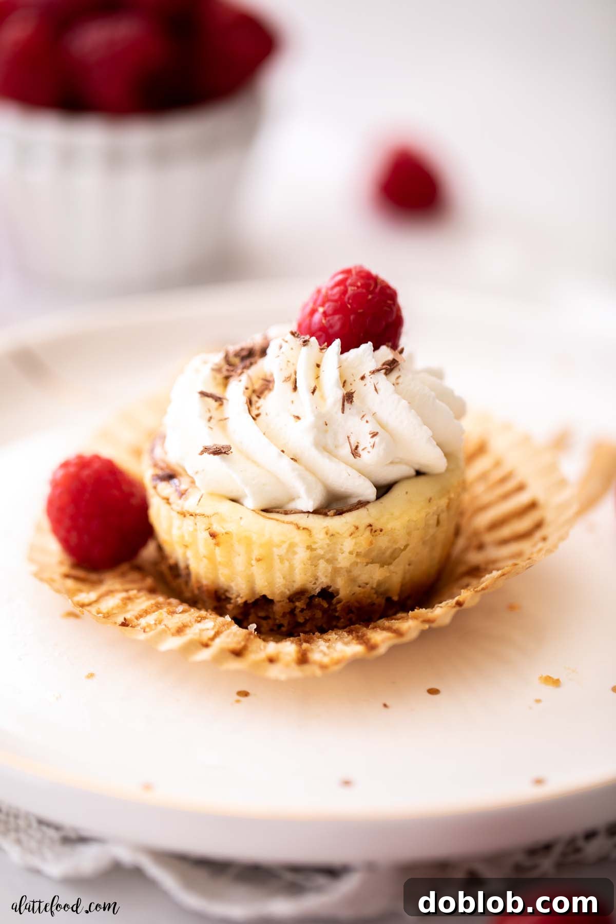 Graham cracker crusted mini nutella cheesecake with whipped cream and raspberries on white plate.