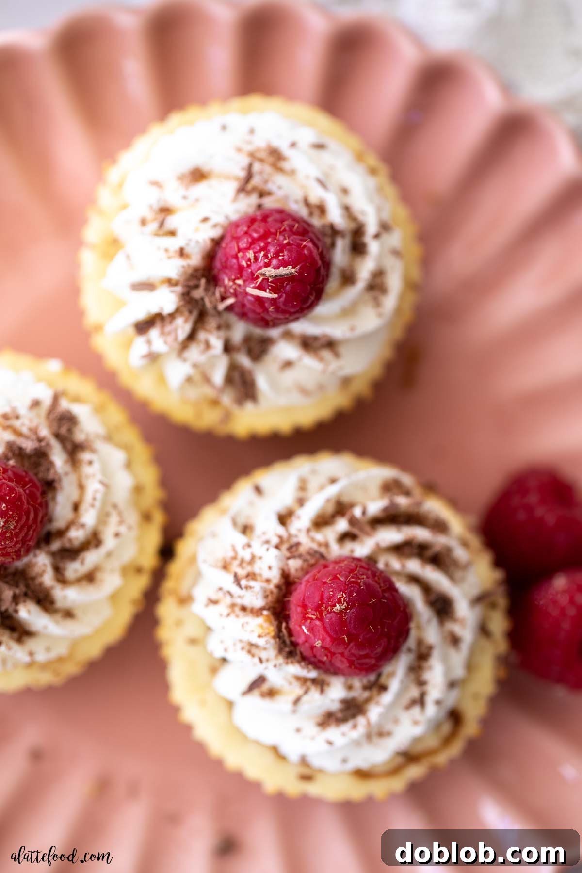Creamy nutella mini cheesecakes with whipped cream and fresh raspberries on pink plate.