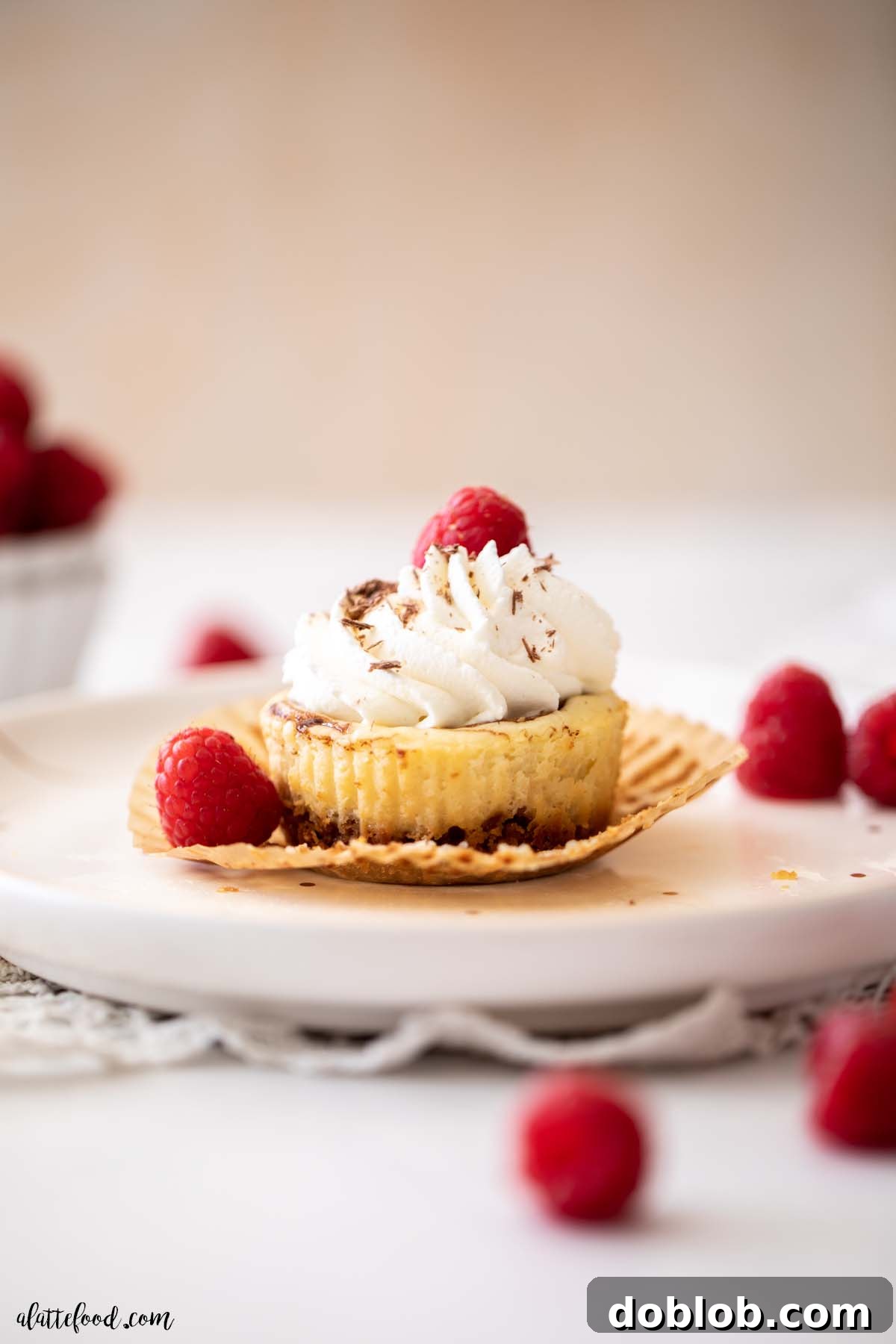Mini Cheesecake with nutella and a graham cracker crust topped with whipped cream and raspberries on a white plate.