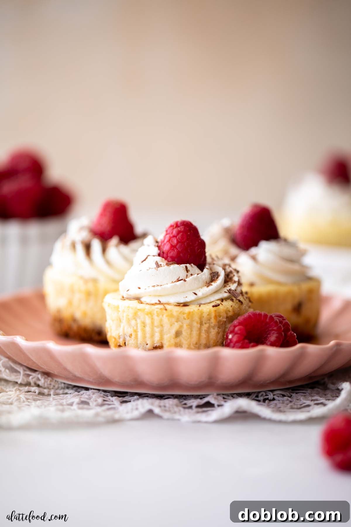 Three baked mini nutella cheesecake with graham cracker crust and fresh raspberries on pink plate.