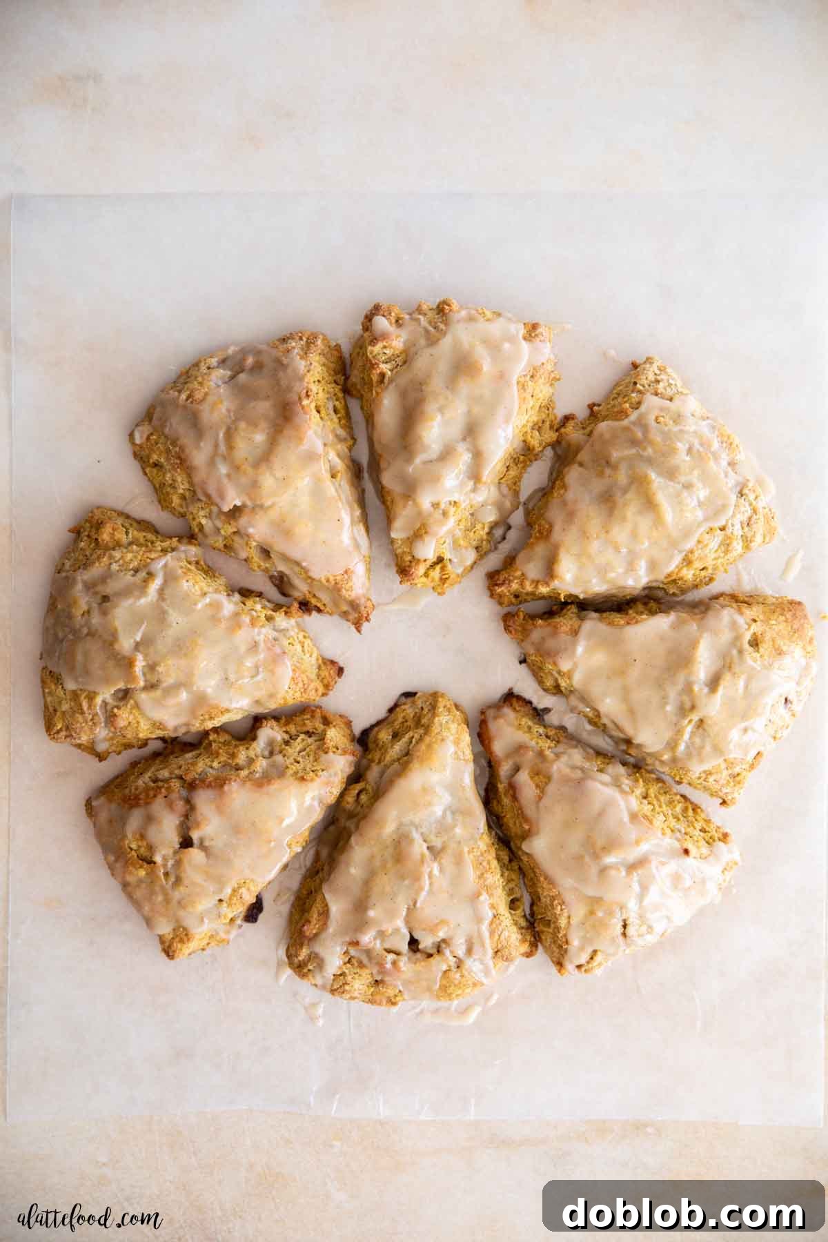 These homemade pumpkin scones, with buttermilk and pure maple syrup, are truly better than any store-bought version. Freshly baked pumpkin scones with a generous maple glaze, arranged in a circular pattern on parchment paper.