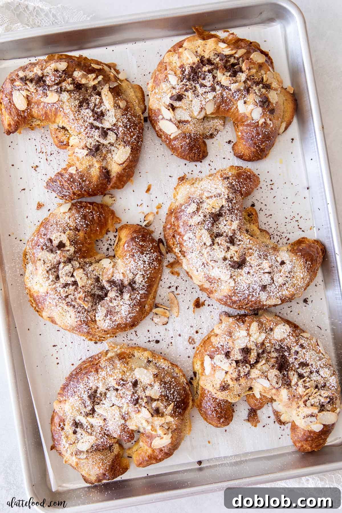 Baked chocolate almond croissants with powdered sugar on a metal baking tray, ready to be served.