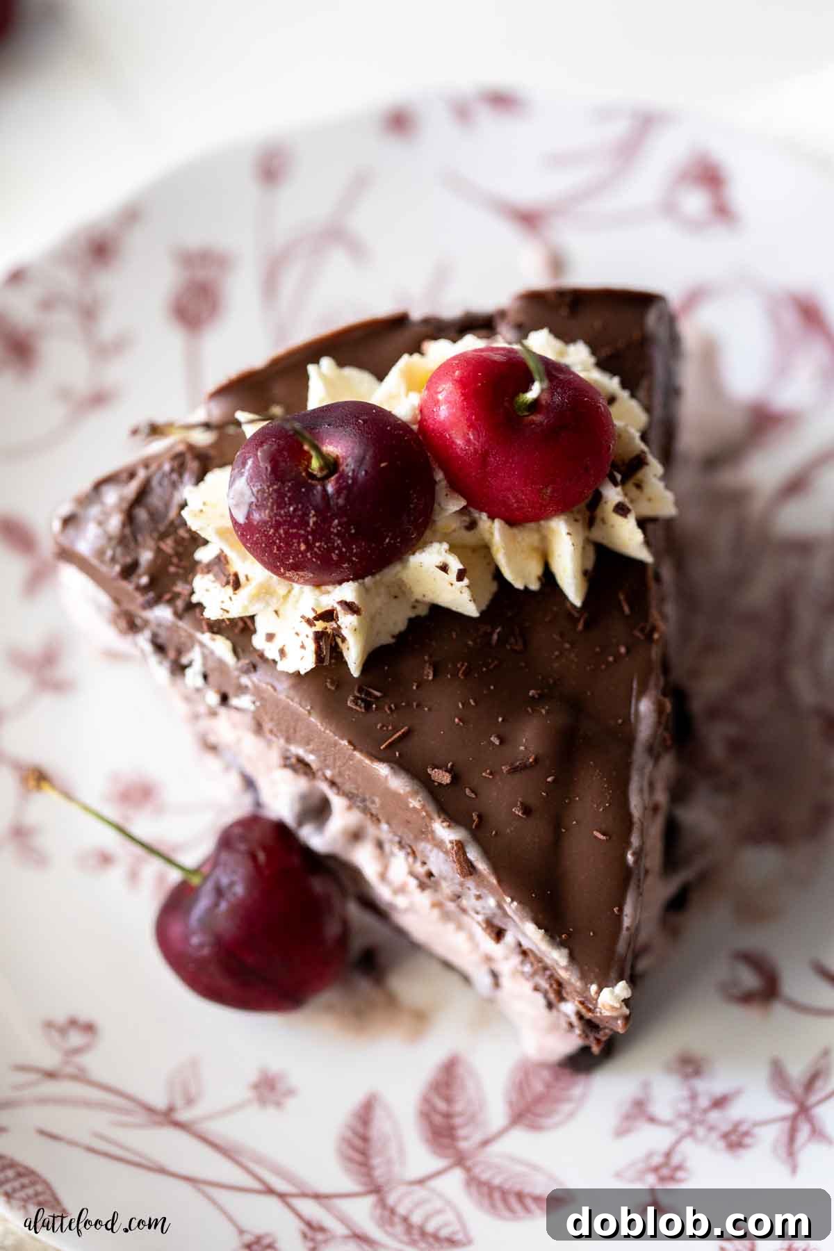 A delectable slice of chocolate cherry ice cream cake on a dessert plate with fresh cherries and a spoon.