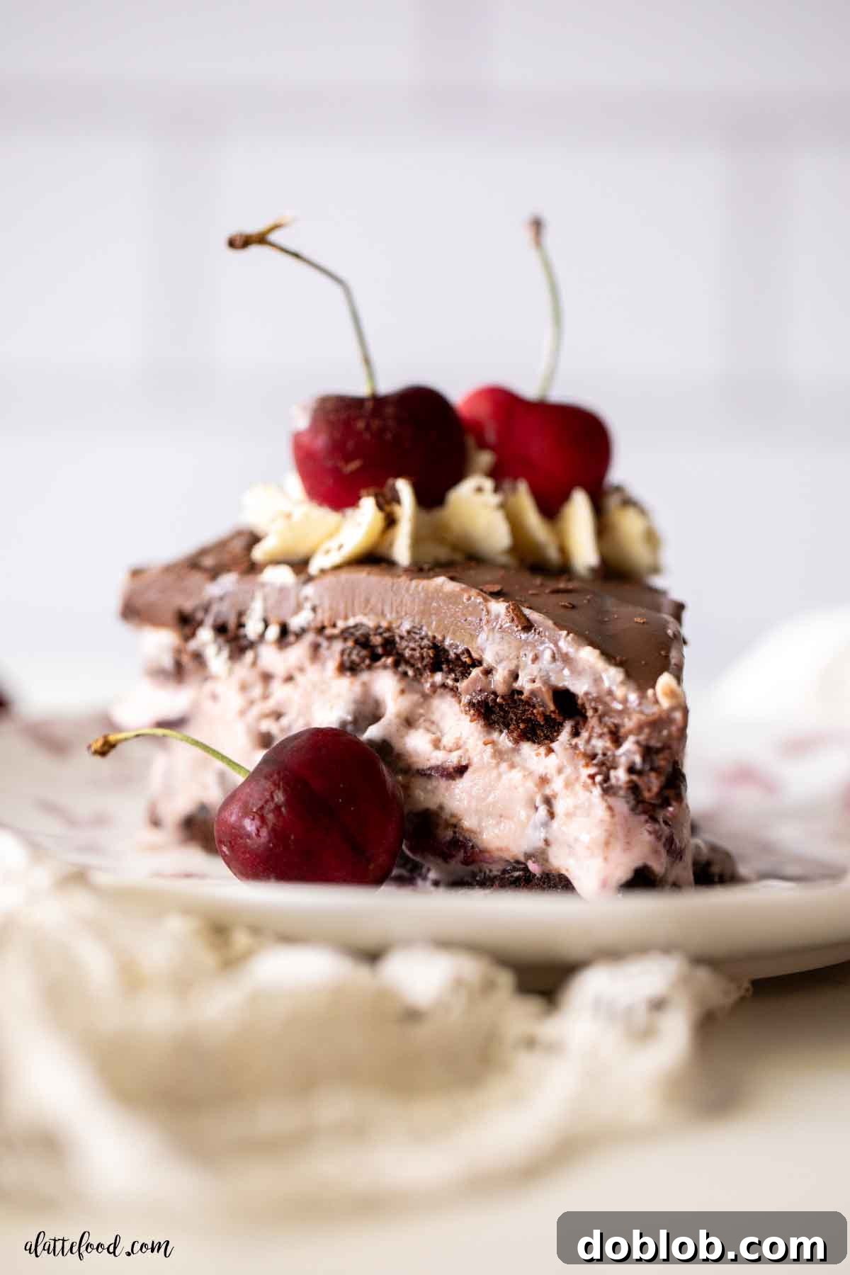 A delectable slice of cherry ice cream cake with ganache and whipped cream on a dessert plate.
