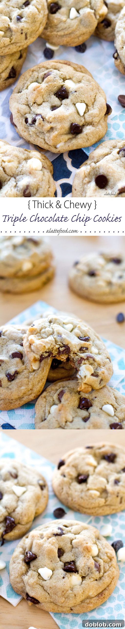 A beautiful spread of various cookies, including the famous thick and chewy triple chocolate chip cookies.