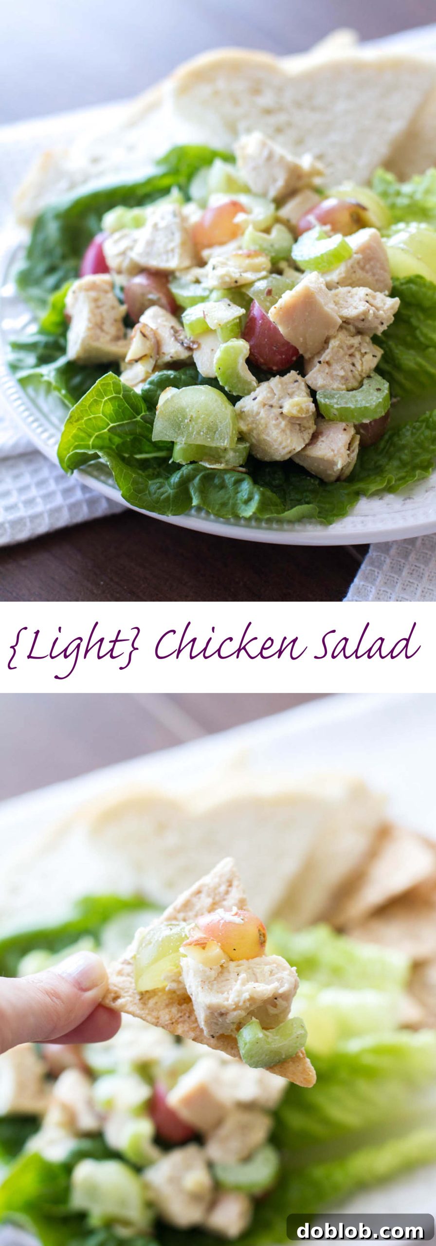 Fresh & Wholesome Chicken Salad 7 A final full shot of the light and healthy chicken salad recipe with a garnish of fresh herbs.