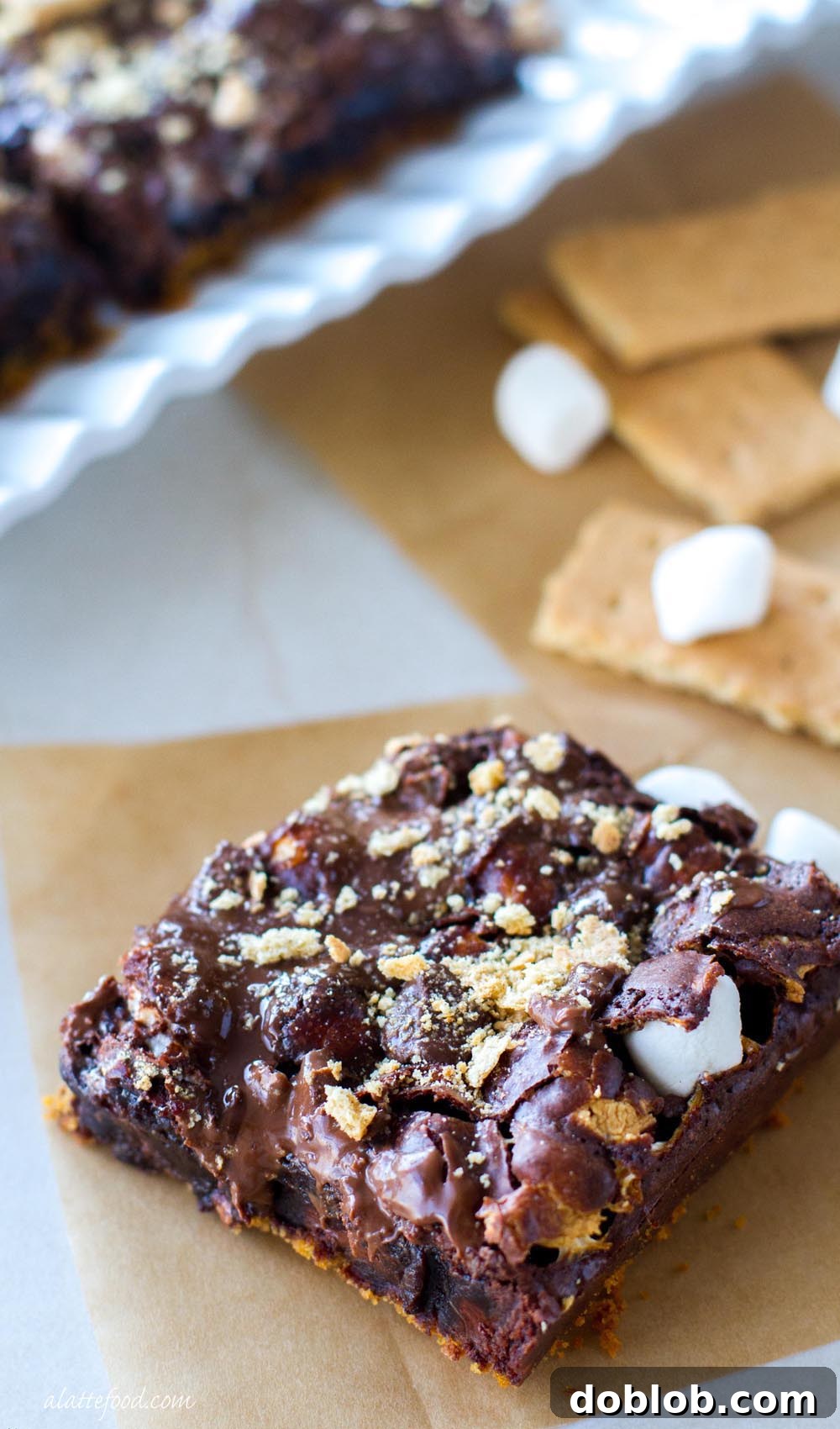Ooey Gooey S'mores Brownies 2 Rich s'mores brownies with melted chocolate and toasted marshmallows