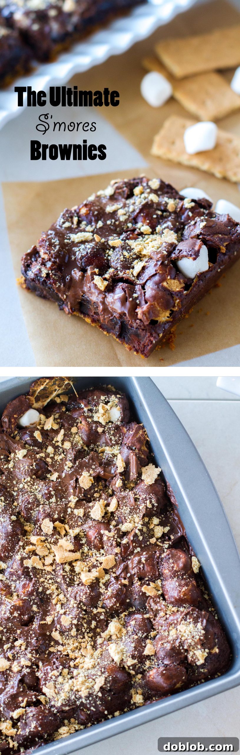 Ooey Gooey S'mores Brownies 8 A selection of s'mores brownies, showcasing their rich texture