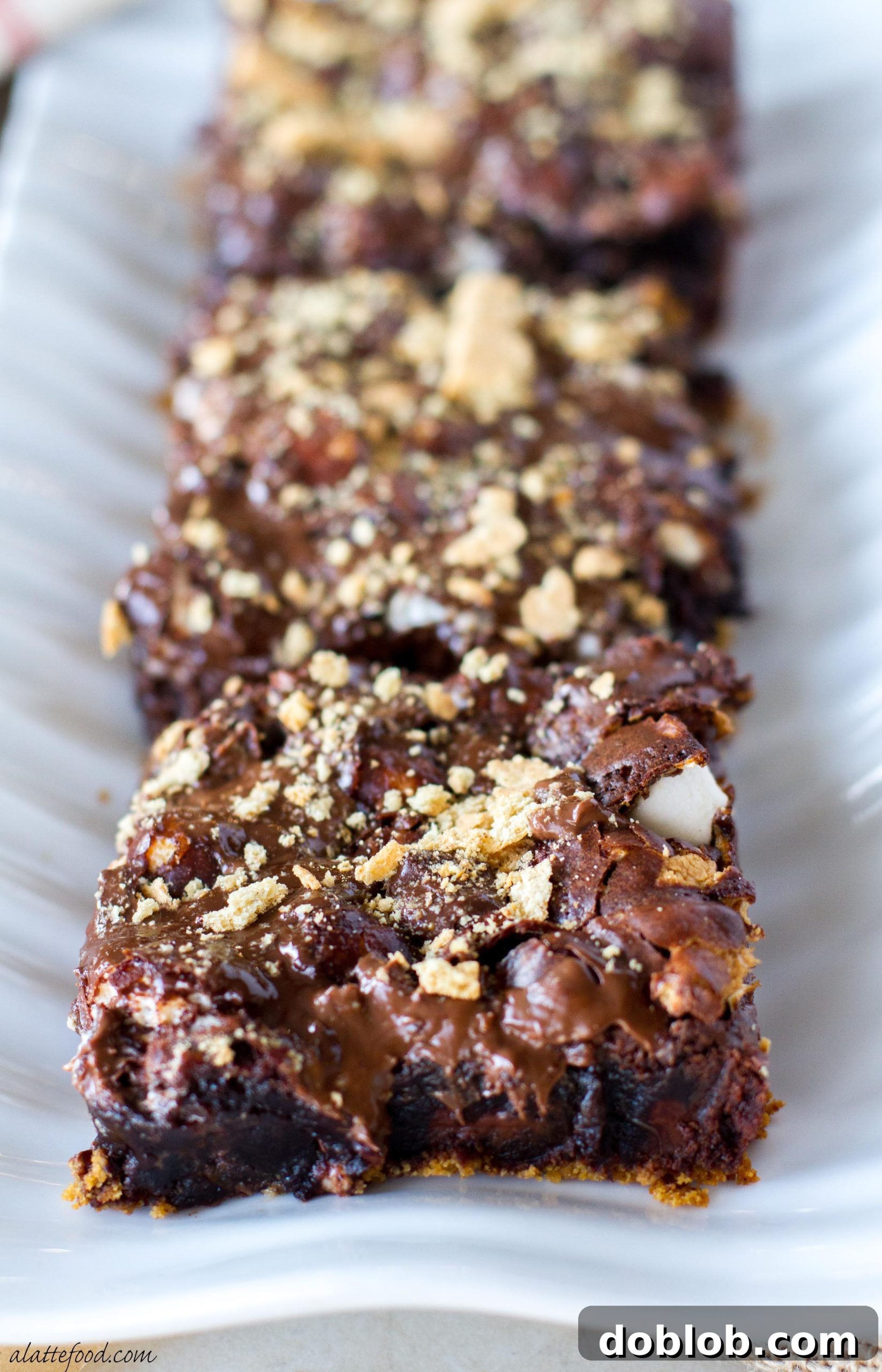 Ooey Gooey S'mores Brownies 3 Close-up of a s'mores brownie with a golden marshmallow topping