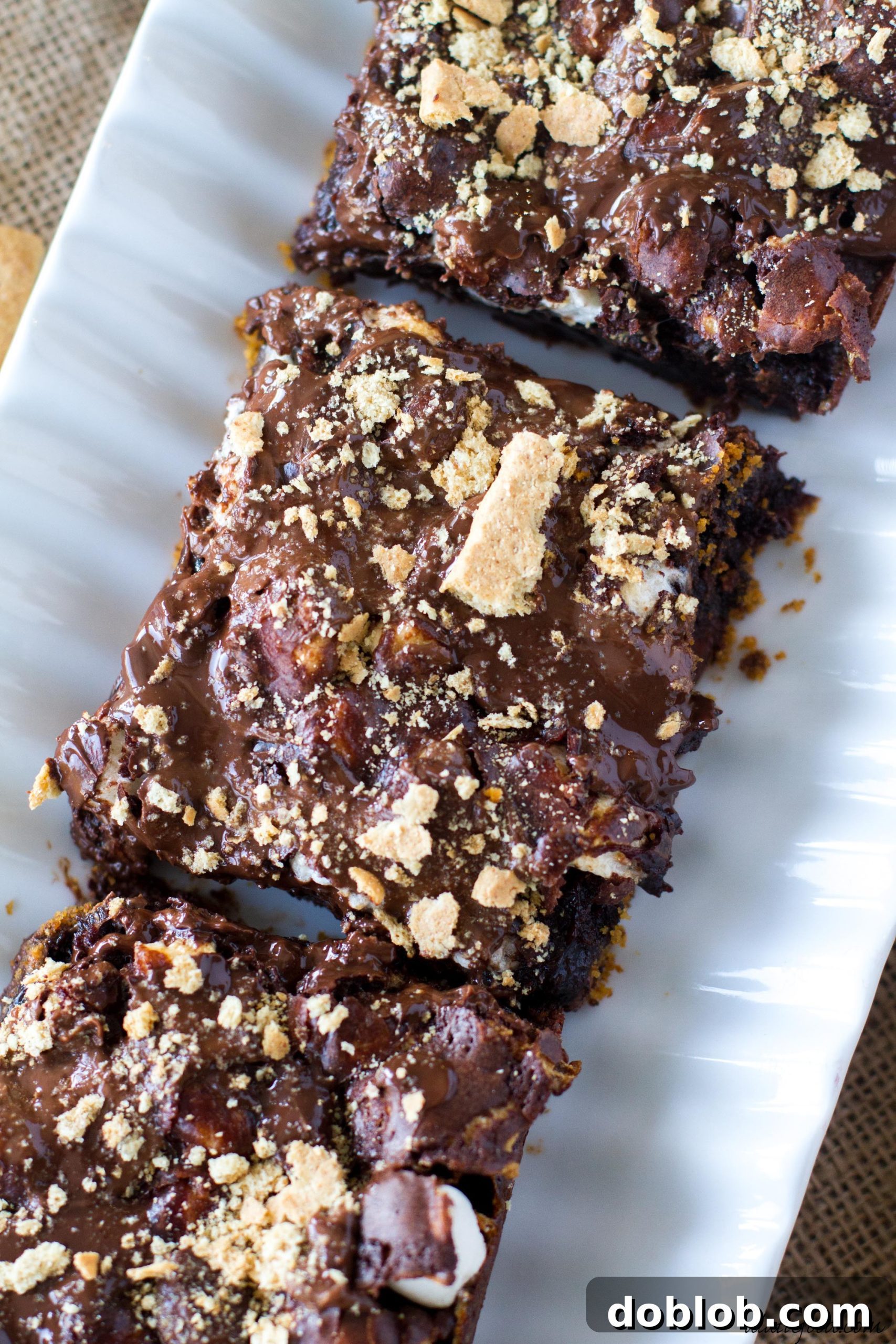 Ooey Gooey S'mores Brownies 4 Delicious s'mores brownies ready to be served