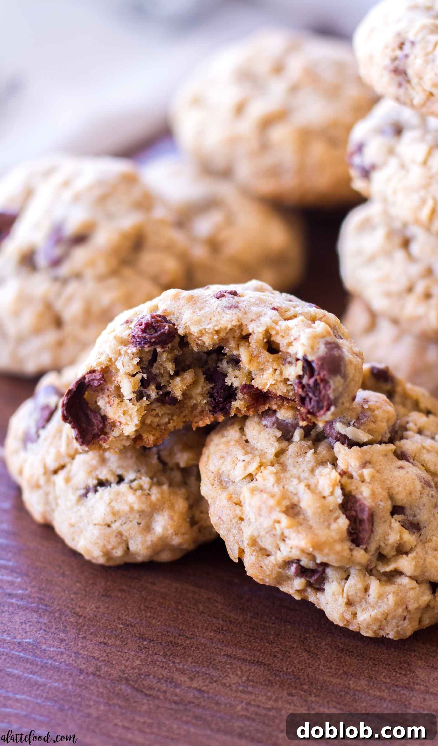 A delicious cross-section view of an oatmeal chocolate covered raisin cookie, revealing its tender interior and melted chocolate raisins.