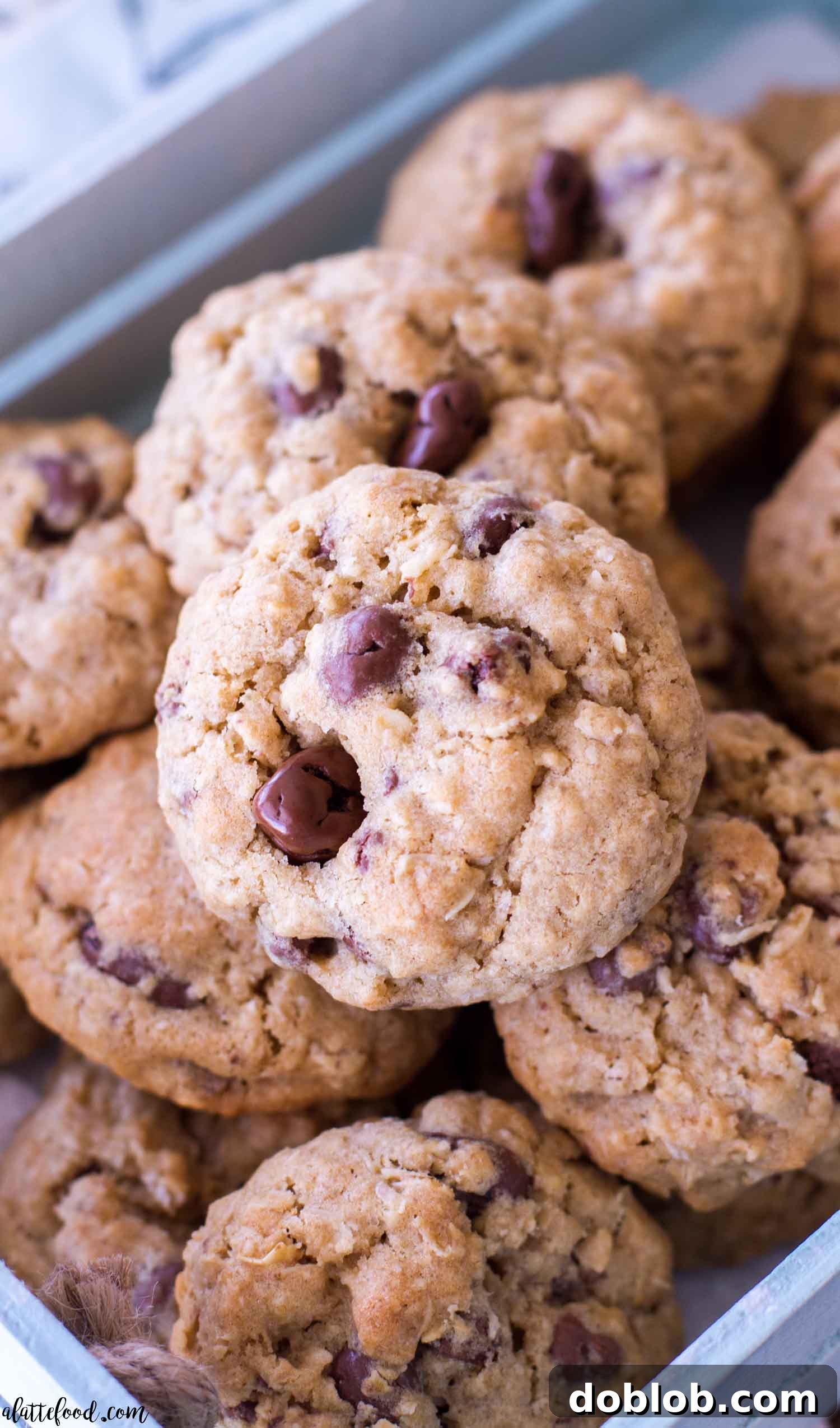 Delicious oatmeal chocolate covered raisin cookies ready to eat.