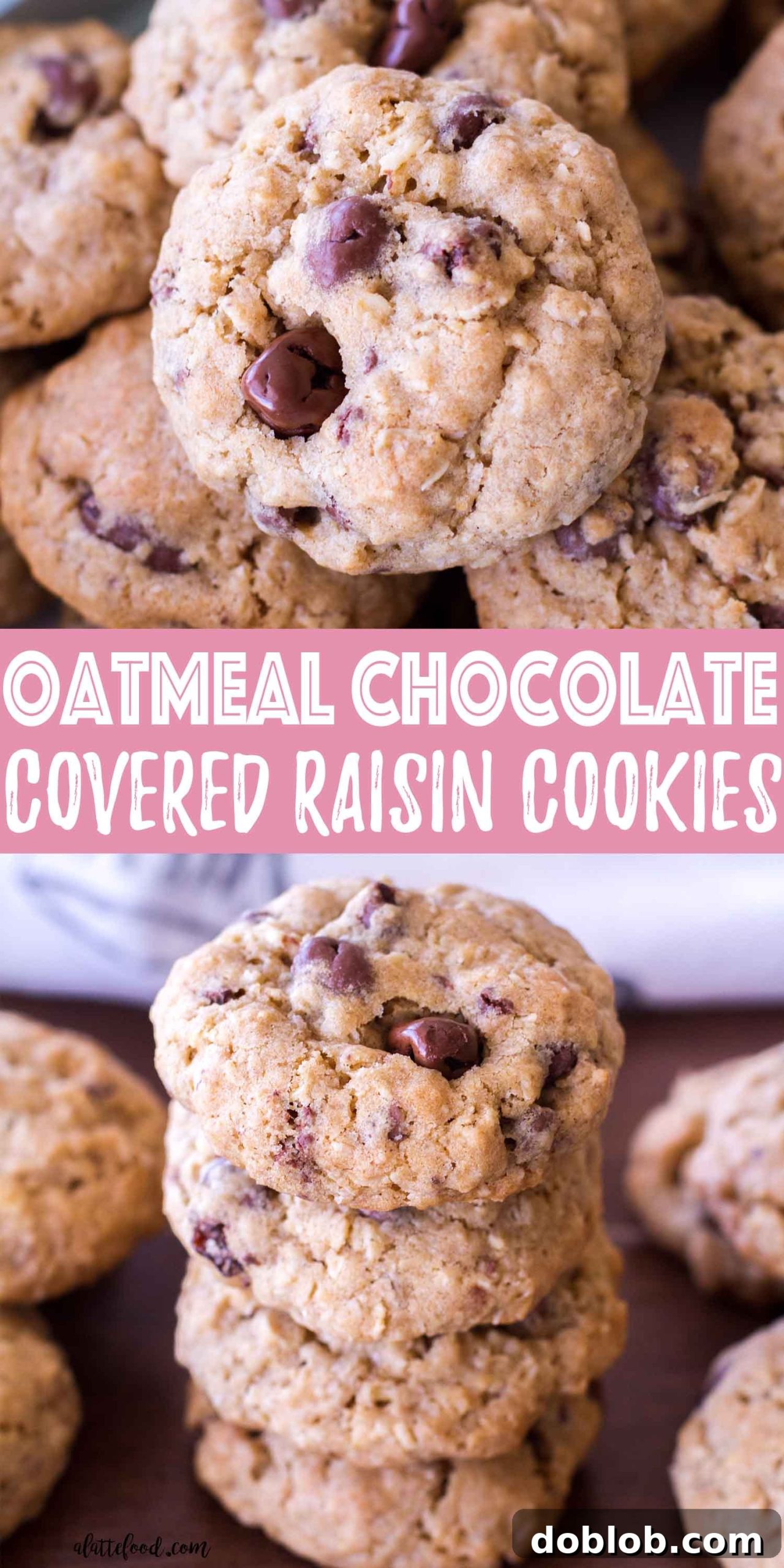 A collage of oatmeal chocolate covered raisin cookies from various angles, showcasing their appeal.