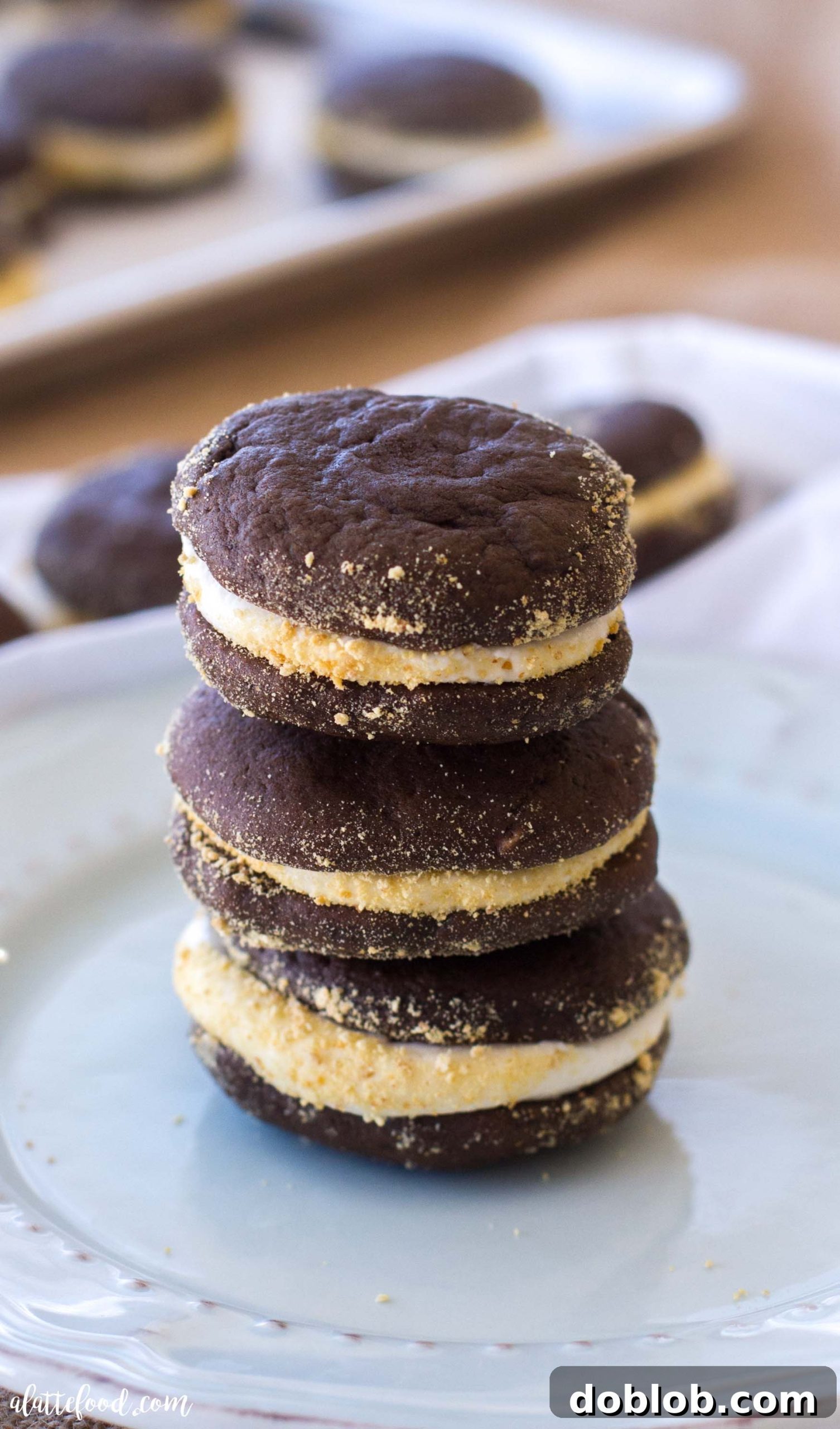 Campfire Whoopie Wonders 6 A S'mores Whoopie Pie recipe featuring soft chocolate cookies and marshmallow filling