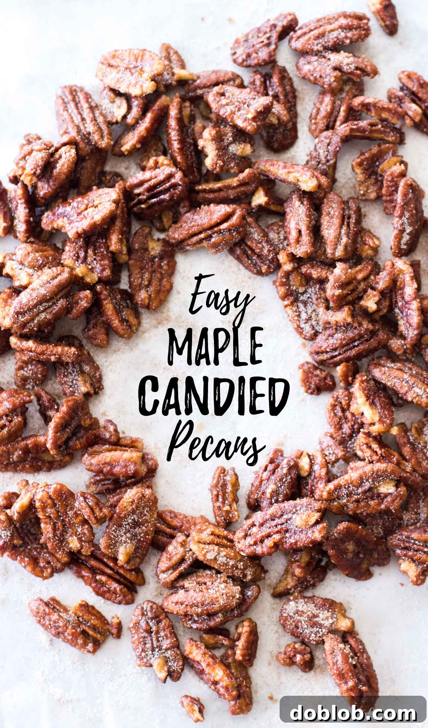 Freshly made maple candied pecans cooling and separating on a metal baking pan, ready for packaging or serving.