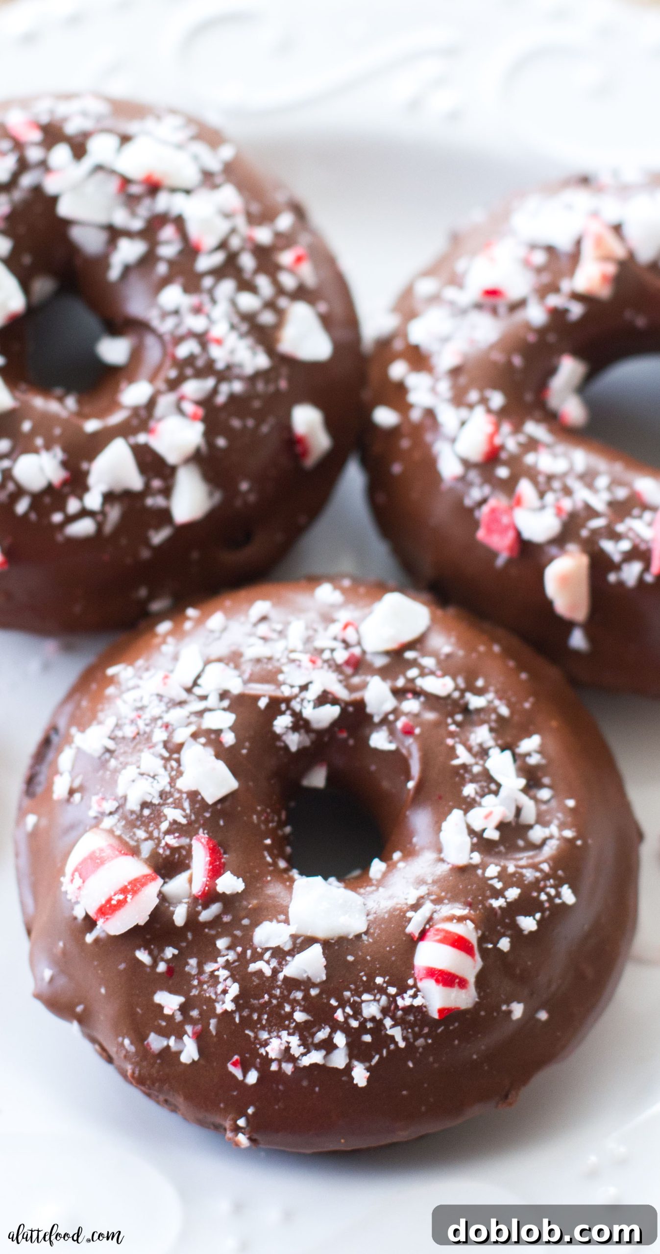 Experience the ultimate holiday treat with these irresistible baked peppermint mocha donuts. Featuring a rich chocolate and coffee base, topped with a refreshing chocolate peppermint glaze and crushed candy canes, they're the ideal Christmas dessert or festive breakfast. #peppermint #mocha #donut #chocolate #christmas These easy baked chocolate donuts are filled with coffee and rich chocolate, and topped with a chocolate peppermint glaze. The perfect Christmas dessert! A simple chocolate donut recipe you're sure to love!