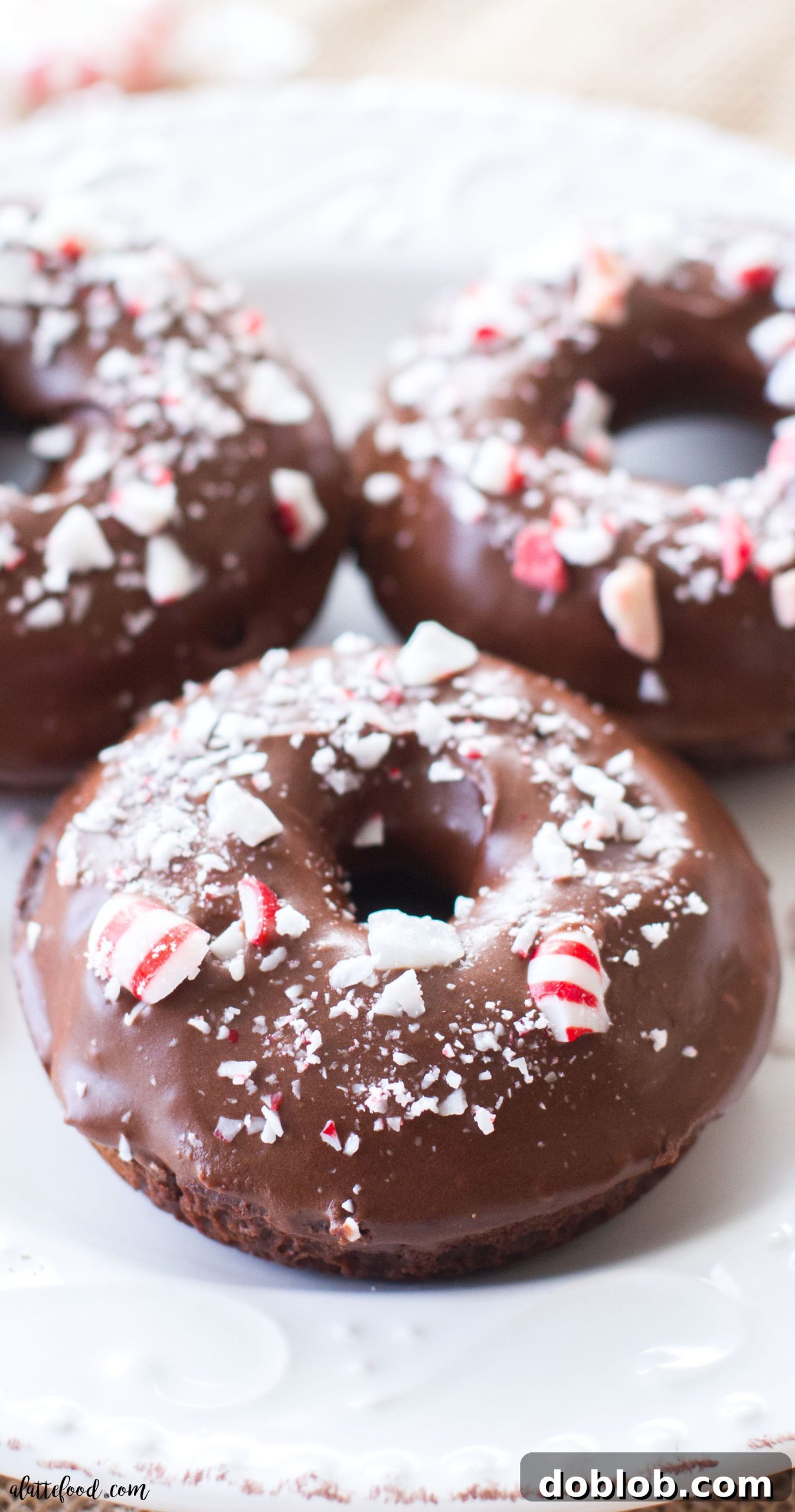 Peppermint Mocha Baked Delights 2 Baked Peppermint Mocha Donuts with recipe details.