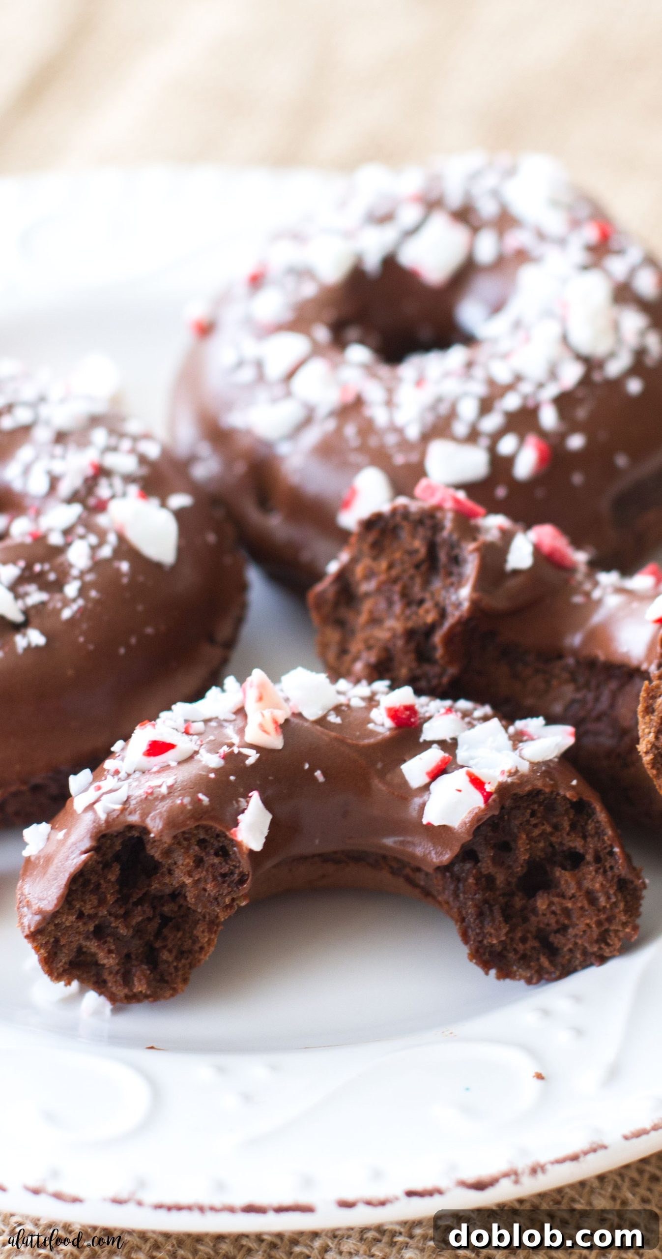 A top-down view of freshly glazed baked peppermint mocha donuts, arranged on a cooling rack, showcasing their vibrant colors and festive crushed peppermint topping. #peppermint #mocha #donut #chocolate #christmas These easy baked chocolate donuts are filled with coffee and rich chocolate, and topped with a chocolate peppermint glaze. The perfect Christmas dessert! A simple chocolate donut recipe you're sure to love!