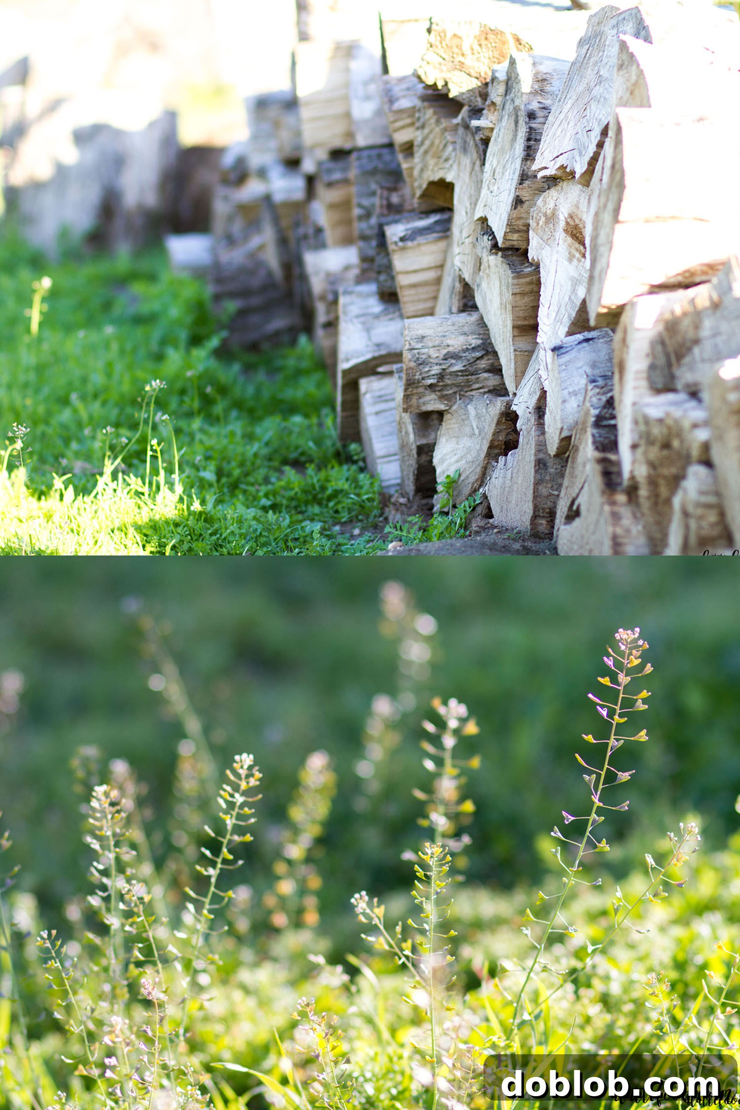 Weekend Cravings Meet Dunkin Donuts 5 An open food magazine displaying tempting recipes, a perfect companion for a relaxing weekend morning.