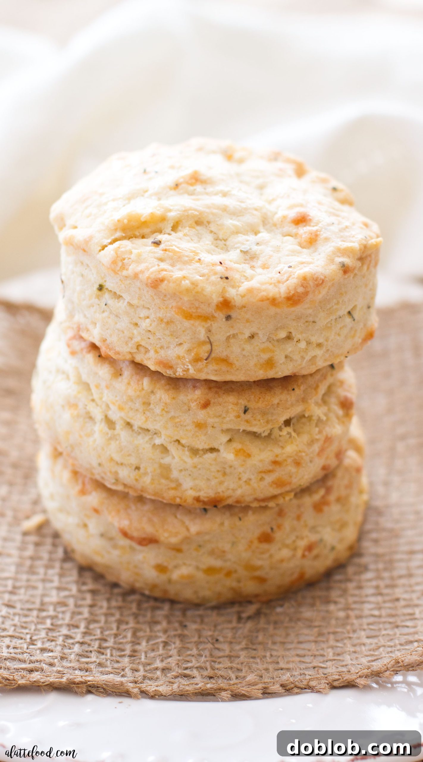 Spicy Pepper Jack Herb Biscuits 2 Fluffy homemade pepper jack cheese and herb biscuits on a wire rack, cooling after baking, showcasing their golden-brown tops and tender texture.