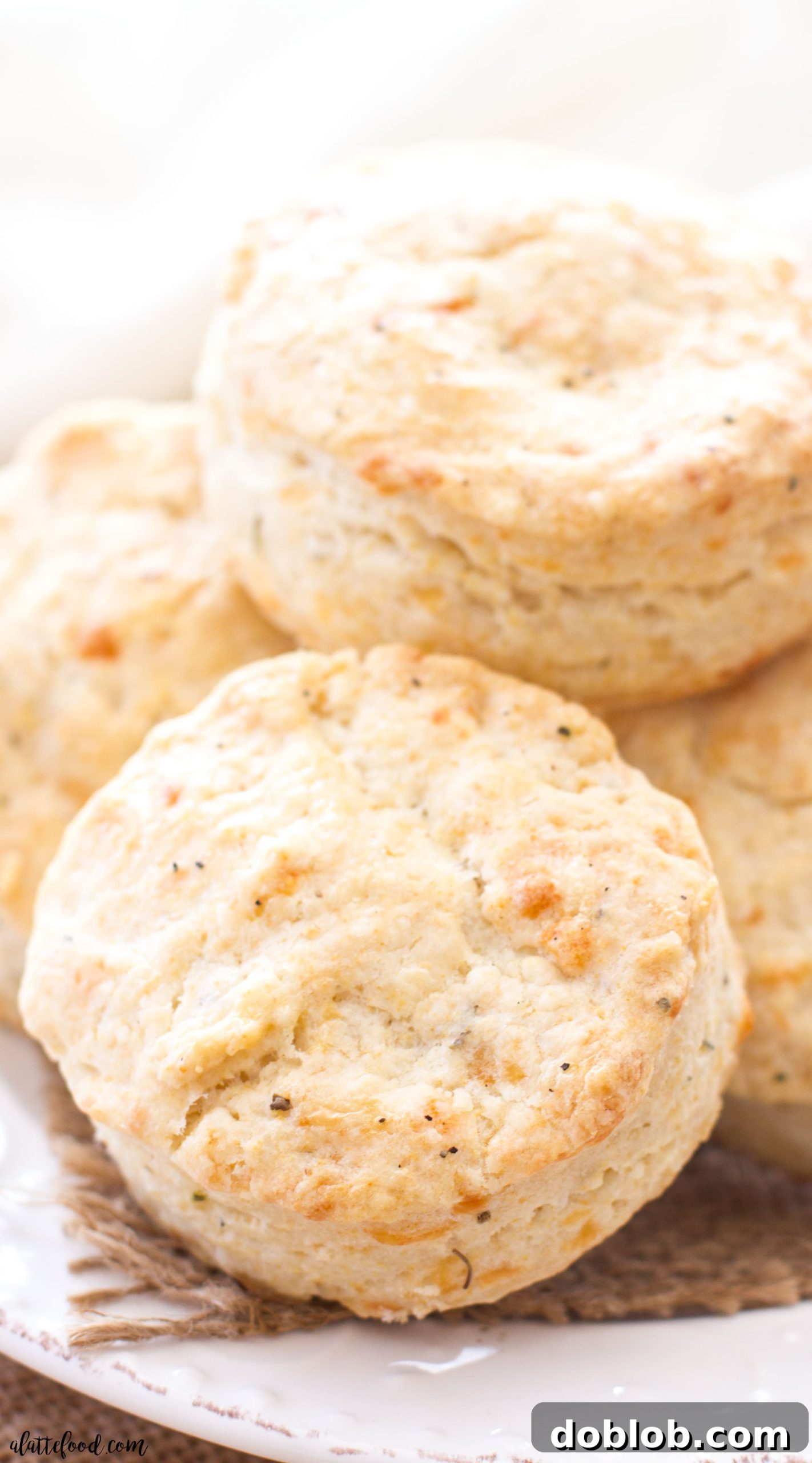Spicy Pepper Jack Herb Biscuits 3 A close-up shot of a single pepper jack cheese and herb biscuit, highlighting its flaky layers and visible specks of herbs and melted cheese within.