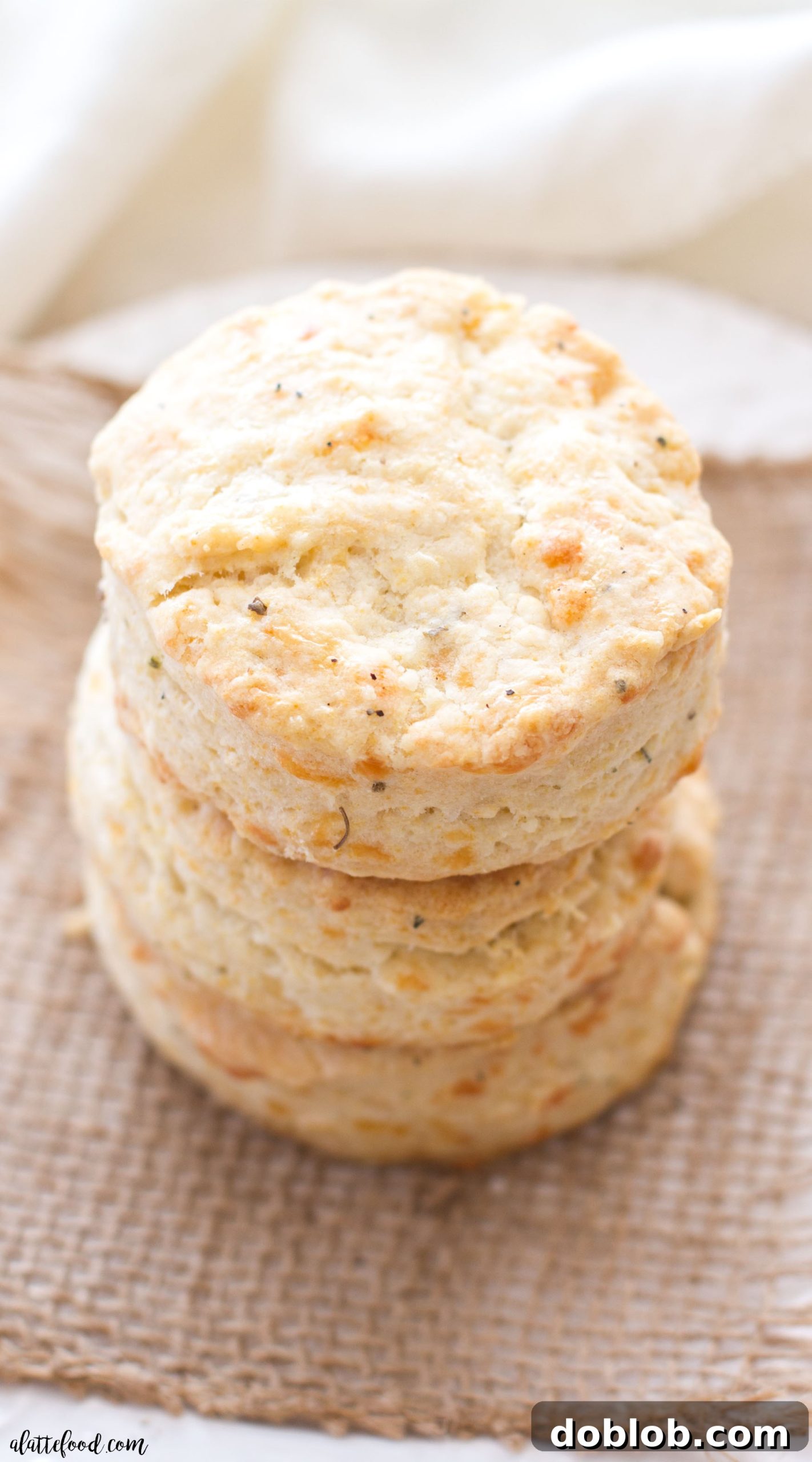 Spicy Pepper Jack Herb Biscuits 5 An overhead shot of freshly baked pepper jack and herb biscuits, showing their perfectly rounded shape and inviting golden crust.