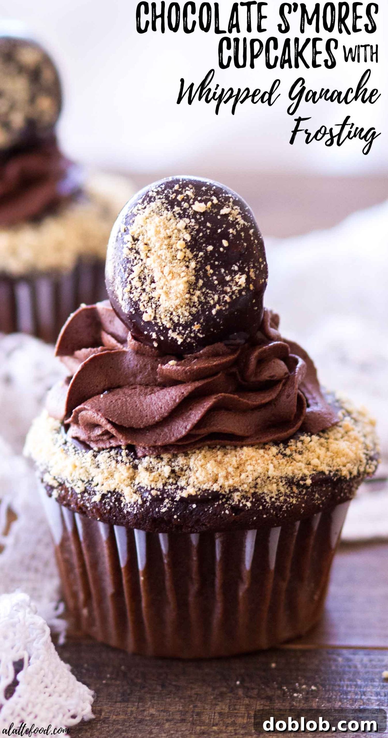 A creative collage photo of chocolate s'mores cupcakes with descriptive text overlays