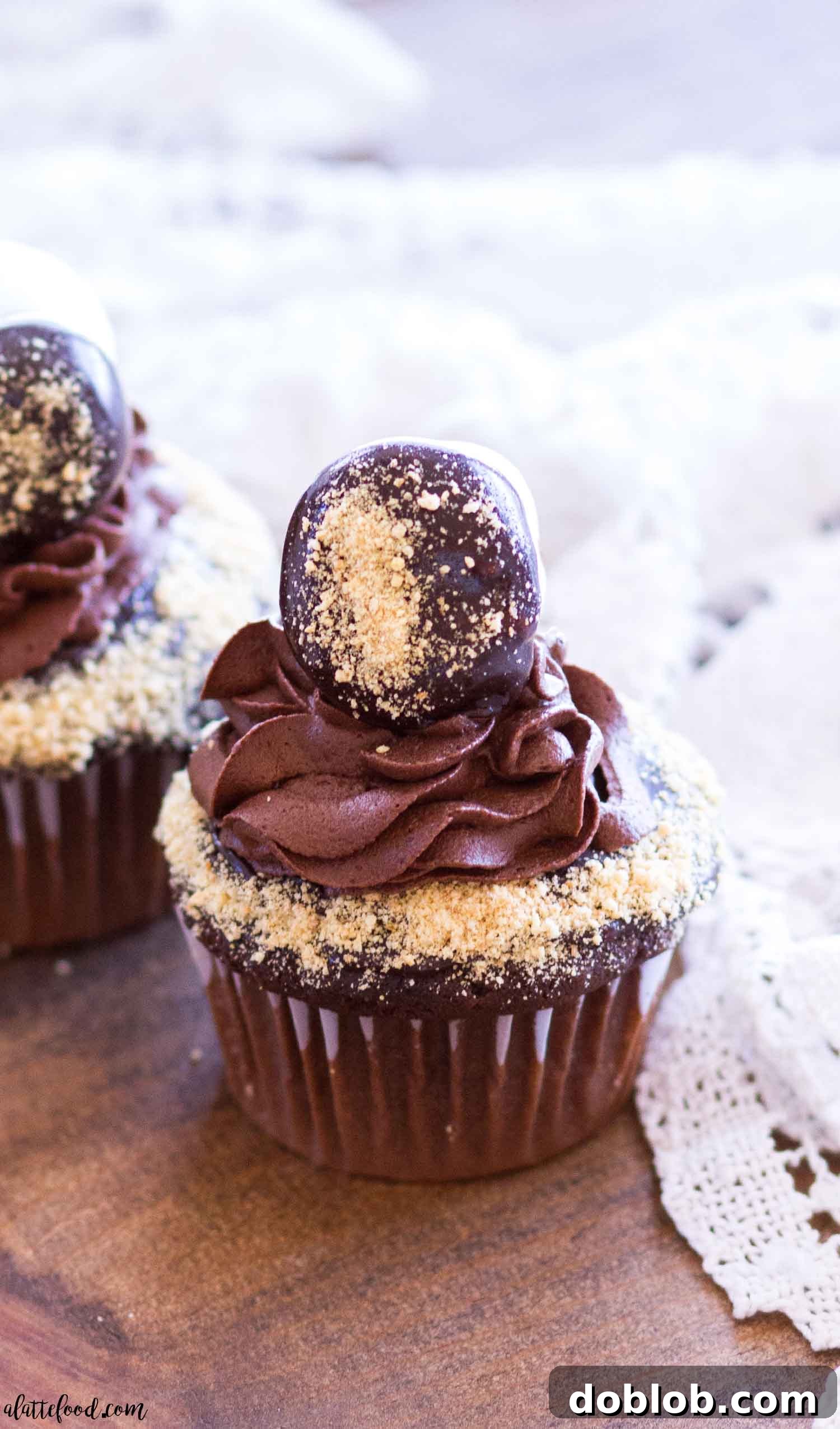 An overhead shot showcasing multiple s'mores chocolate cupcakes, artfully arranged