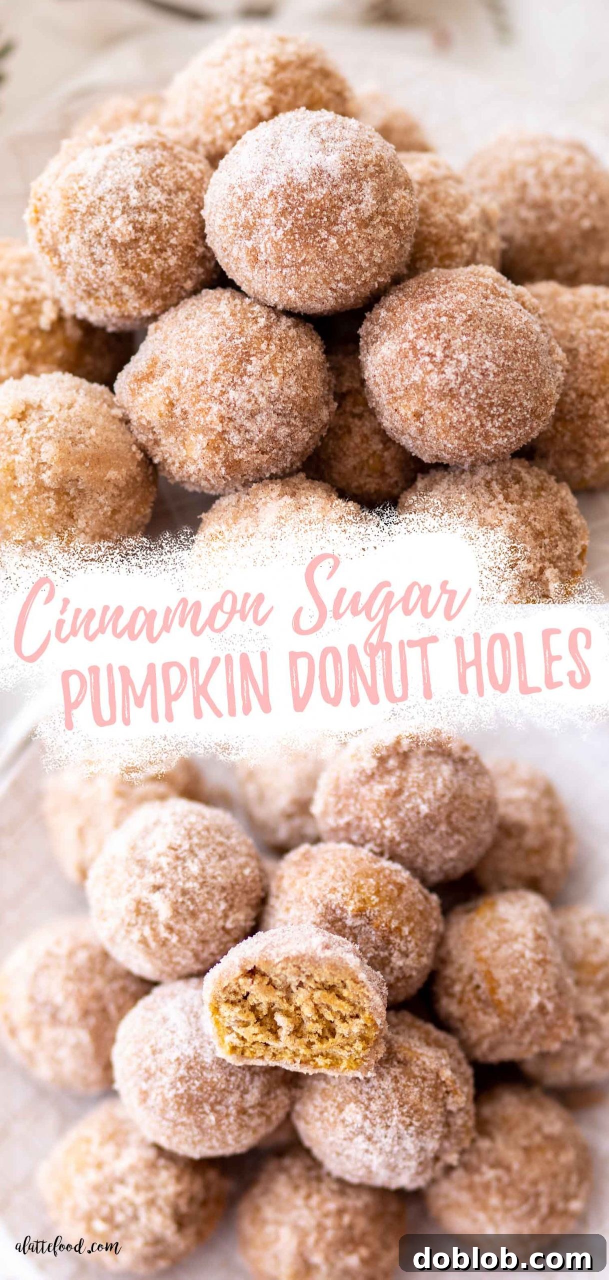 Cinnamon Sugar Pumpkin Donut Holes Recipe Collage A vibrant collage of baked cinnamon sugar pumpkin donut holes, featuring various angles and close-ups, with inviting text overlays promoting them as easy, homemade, and perfect for fall.
