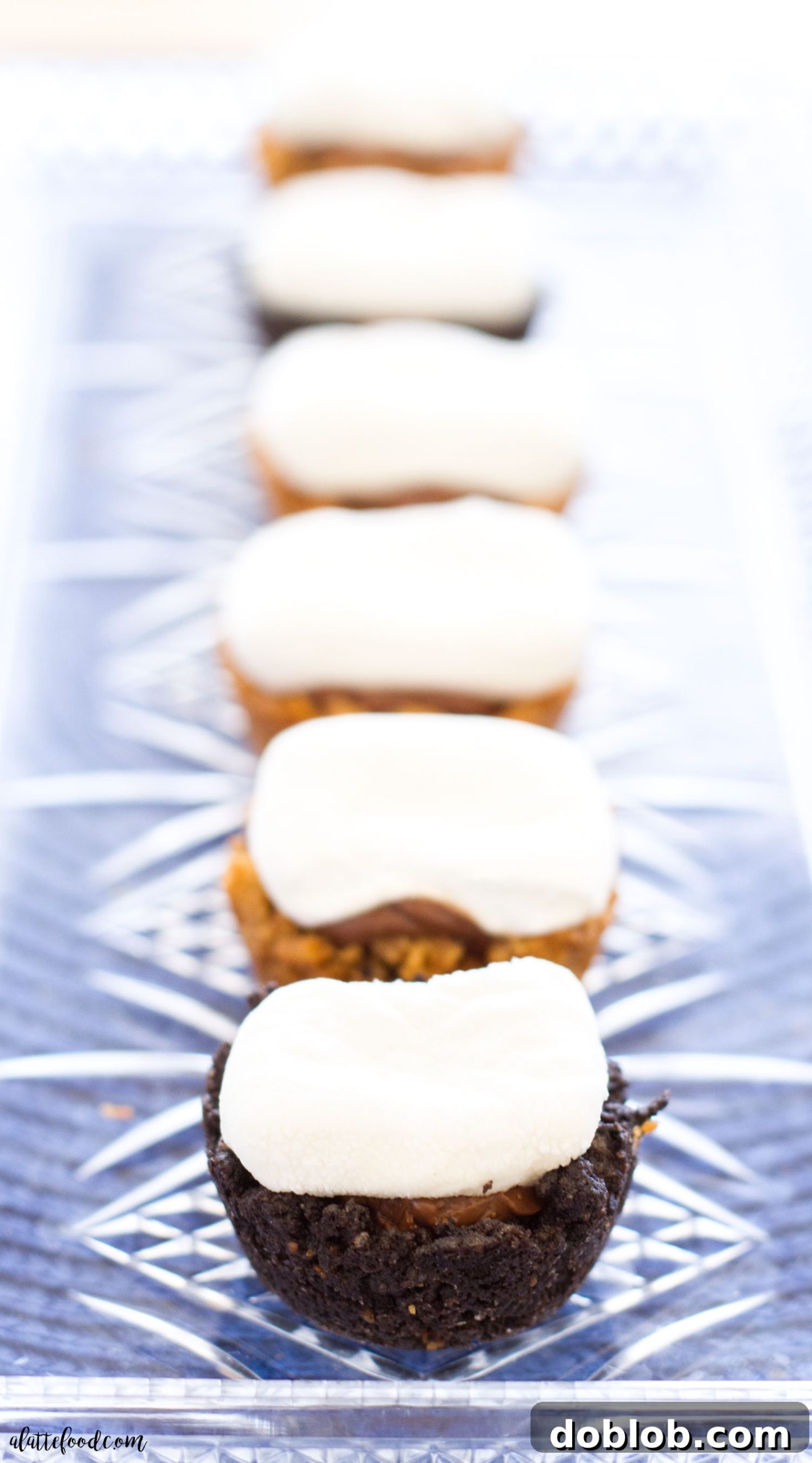 Mini S'mores Bites: All the flavors of the classic campfire dessert are combined into one perfect bite! Delicious Mini S'mores Bites arranged on a platter, showcasing toasted marshmallows, melted chocolate, and a crunchy cookie crust. Perfect for sharing!