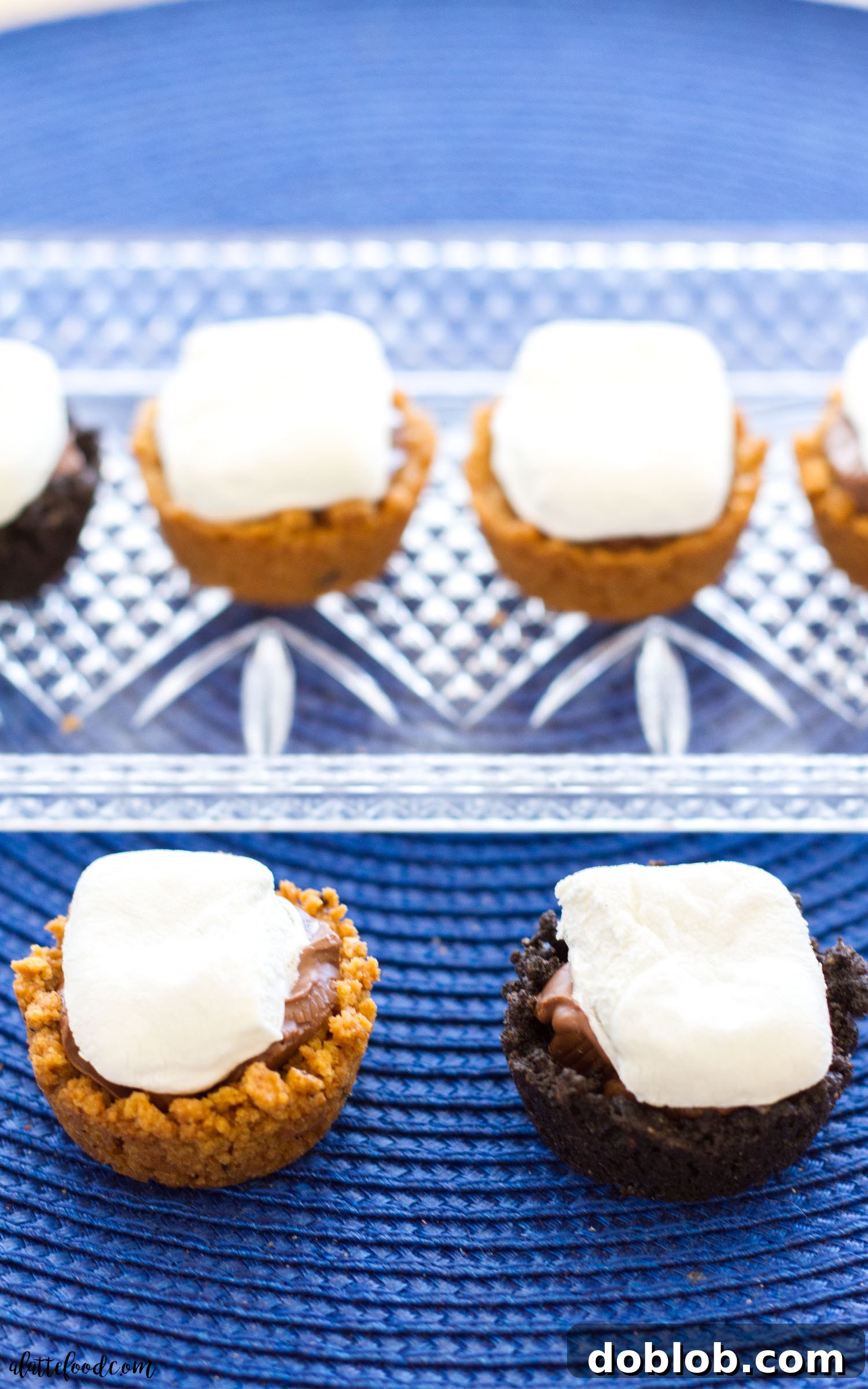 Mini S'mores Bites: All the flavors of the classic campfire dessert are combined into one perfect bite! Mini S'mores Bites in an oven-safe dish, showcasing the toasted marshmallows and ready to be served. A perfect party treat!