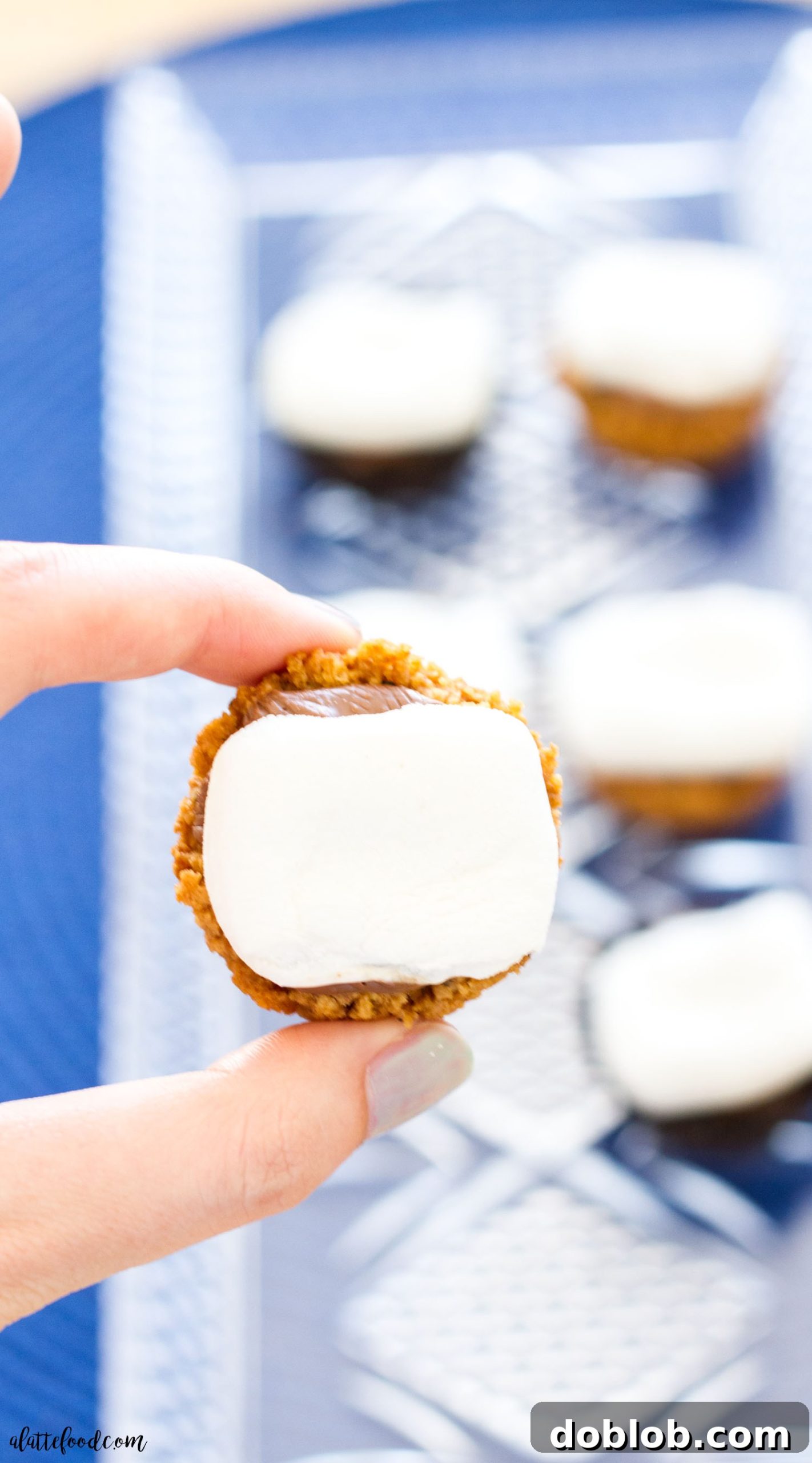 Mini S'mores Bites: All the flavors of the classic campfire dessert are combined into one perfect bite! A delightful arrangement of Mini S'mores Bites on a platter, ready to be served. Each bite is a perfect blend of crust, chocolate, and toasted marshmallow.