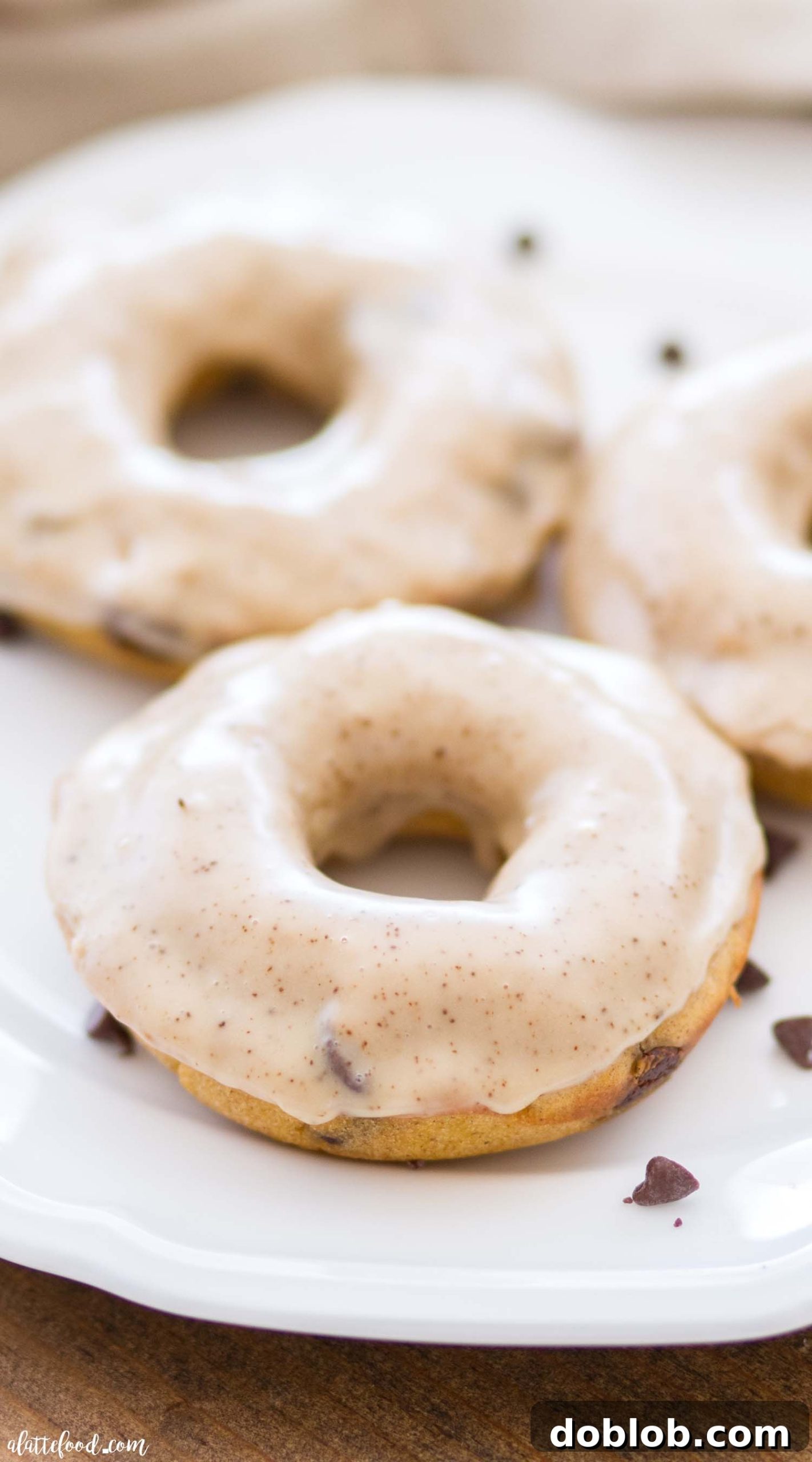 Spiced Pumpkin Chocolate Chip Donuts 2 Easy Chocolate Chip Pumpkin Donuts with a Cinnamon Espresso Glaze, perfect for fall