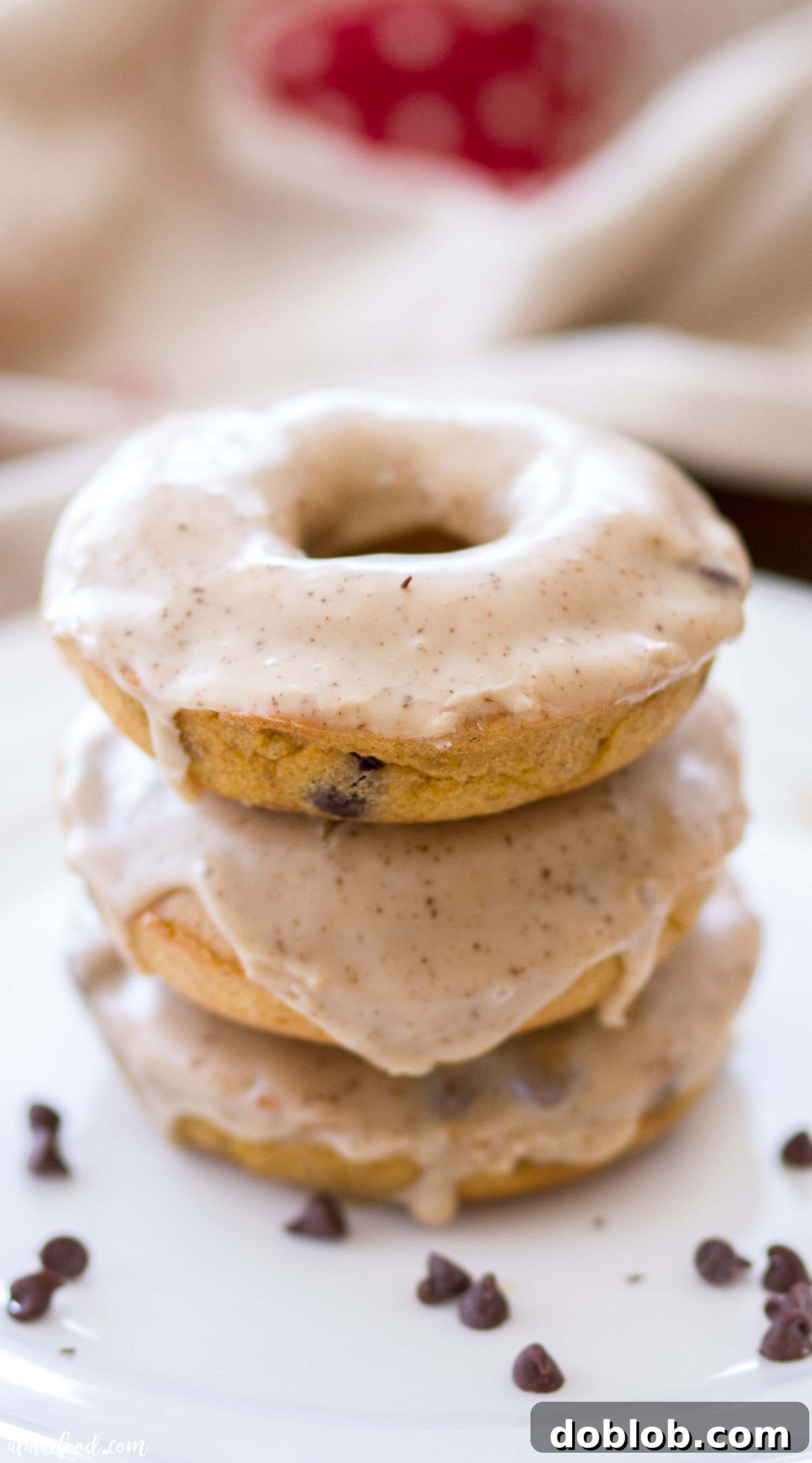 Spiced Pumpkin Chocolate Chip Donuts 3 How to make easy Chocolate Chip Pumpkin Donuts with a Cinnamon Espresso Glaze