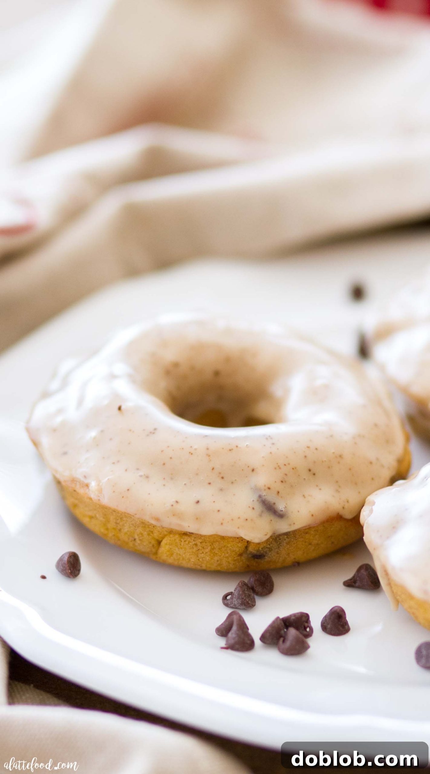 Spiced Pumpkin Chocolate Chip Donuts 4 Homemade baked pumpkin donut recipe with chocolate chips and espresso glaze