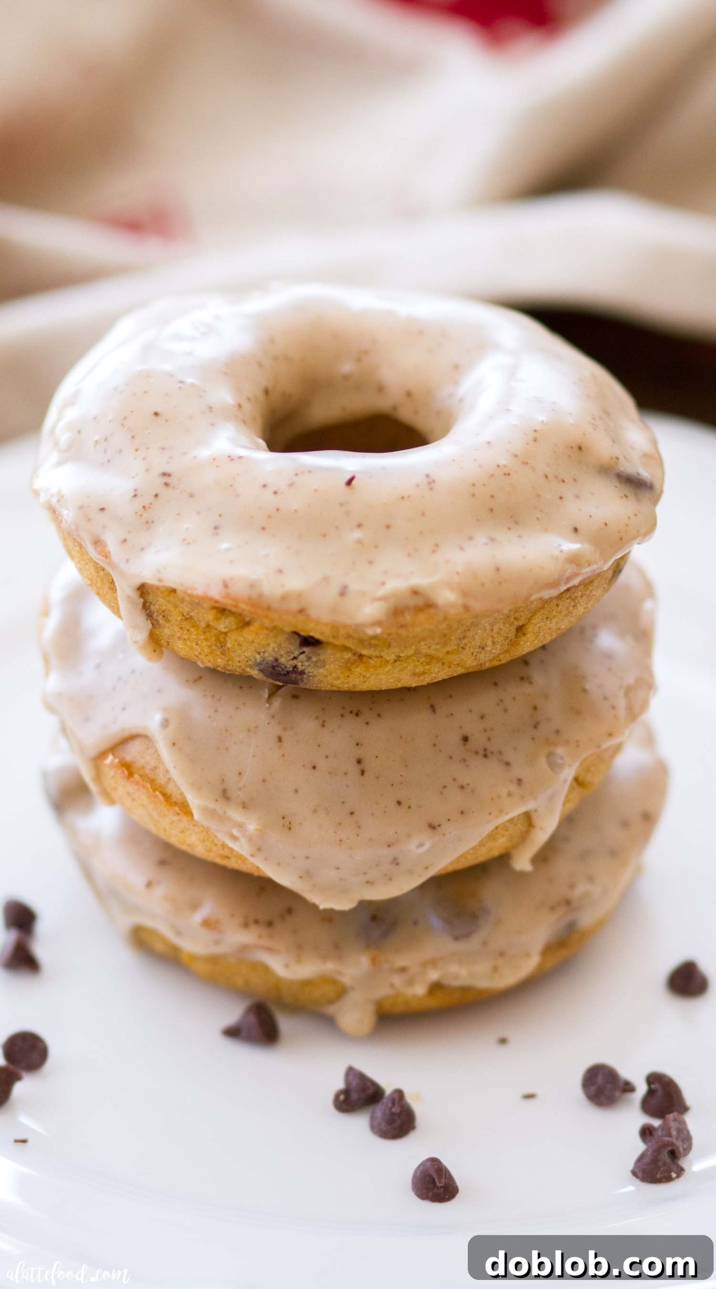 Spiced Pumpkin Chocolate Chip Donuts 5 The best baked pumpkin donuts with chocolate chips and a rich glaze