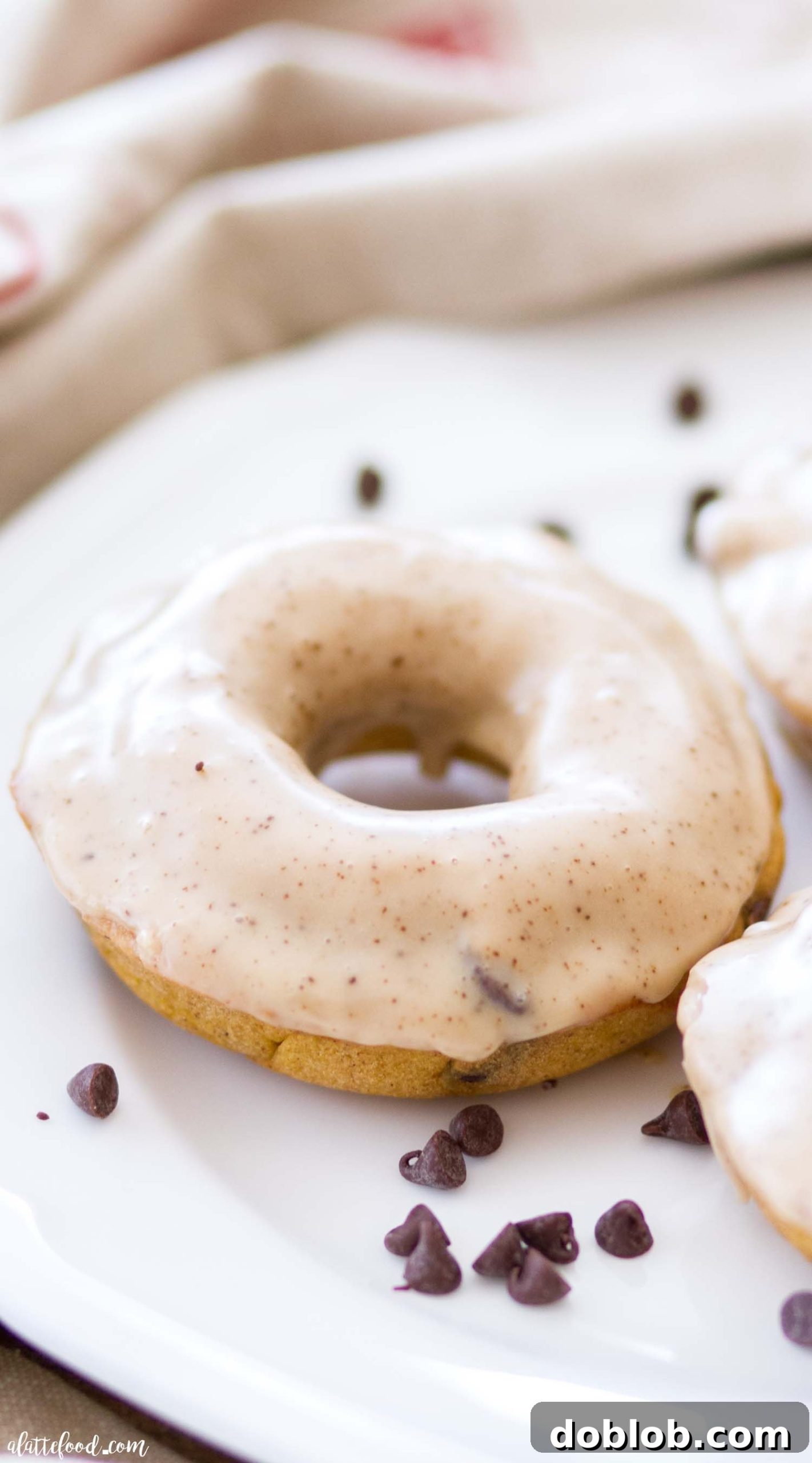Spiced Pumpkin Chocolate Chip Donuts 6 Easy pumpkin chocolate chip donuts with a cinnamon espresso glaze