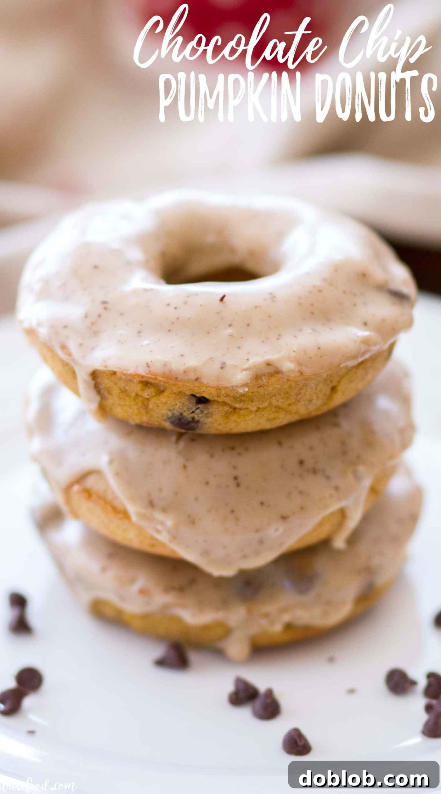 Spiced Pumpkin Chocolate Chip Donuts 7 Baked Chocolate Chip Pumpkin Donuts Recipe: A perfect fall treat